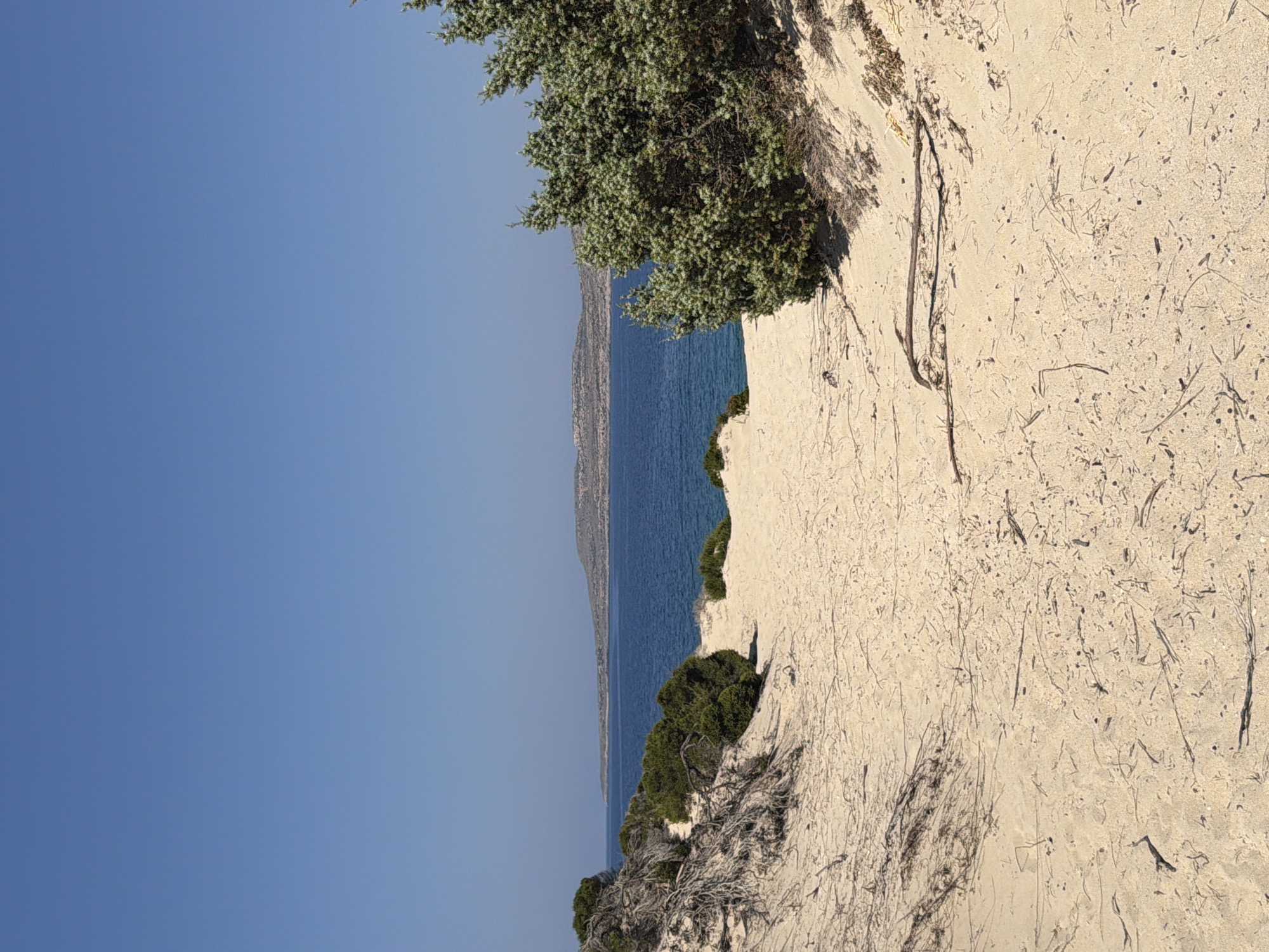 A sandy path leads through sparse vegetation towards a body of deep blue water. In the distance, a low, arid island with a slightly undulating topography is visible under a clear, bright blue sky. The foreground is dominated by sandy dunes with scattered dry branches and some low-lying green bushes. The water's edge is visible, and beyond it, the distant landmass is lightly textured with what appears to be sparse vegetation or rocks.
