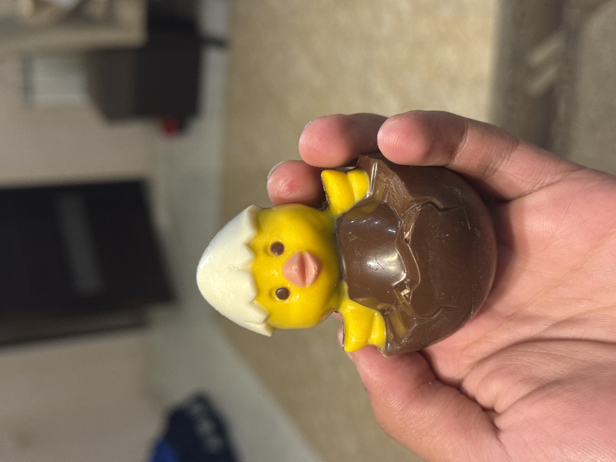 A hand holds a chocolate egg containing a yellow chick. The egg is broken open, revealing the chick inside. The chick has a white head and a pink beak. The background is blurry, but it appears to be an interior setting. There is no information available to determine if the image was taken in Yerevan, Armenia.