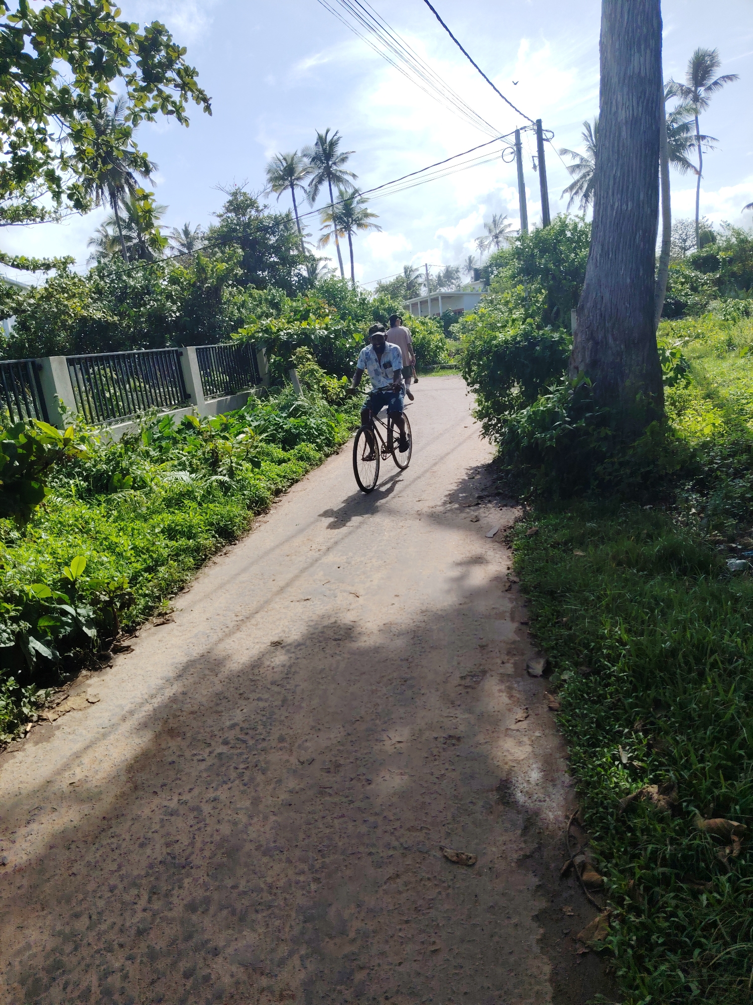 The image depicts a sunlit outdoor scene on an unpaved or dirt road, likely in a tropical or semi-rural setting. The primary subject is a man riding a bicycle, positioned in the middle of the path and facing away from the camera. He wears a light-colored, possibly patterned, short-sleeved shirt and dark shorts. Another person is walking further down the path behind the cyclist, partially visible and out of focus.
The road is flanked on both sides by abundant, lush green vegetation, including dense undergrowth, bushes, and numerous tall palm trees visible against the sky. On the left, a dark metal fence rests on a low concrete wall, partially obscured by the foliage. A large, dark tree trunk stands prominently on the right side of the foreground, with its canopy extending beyond the frame. Utility poles with overhead wires stretch across the top right portion of the image, and a small bird is visible flying near them in the distance. In the far background, a white building with a light-colored roof can be discerned amidst the trees.
The time of day is bright daylight, evidenced by the clear illumination and distinct shadows cast across the path by unseen trees and the cyclist. The weather appears sunny with a blue sky and scattered white clouds. The scene suggests a relaxed atmosphere in a warm, verdant location. No visible text is present in the image.