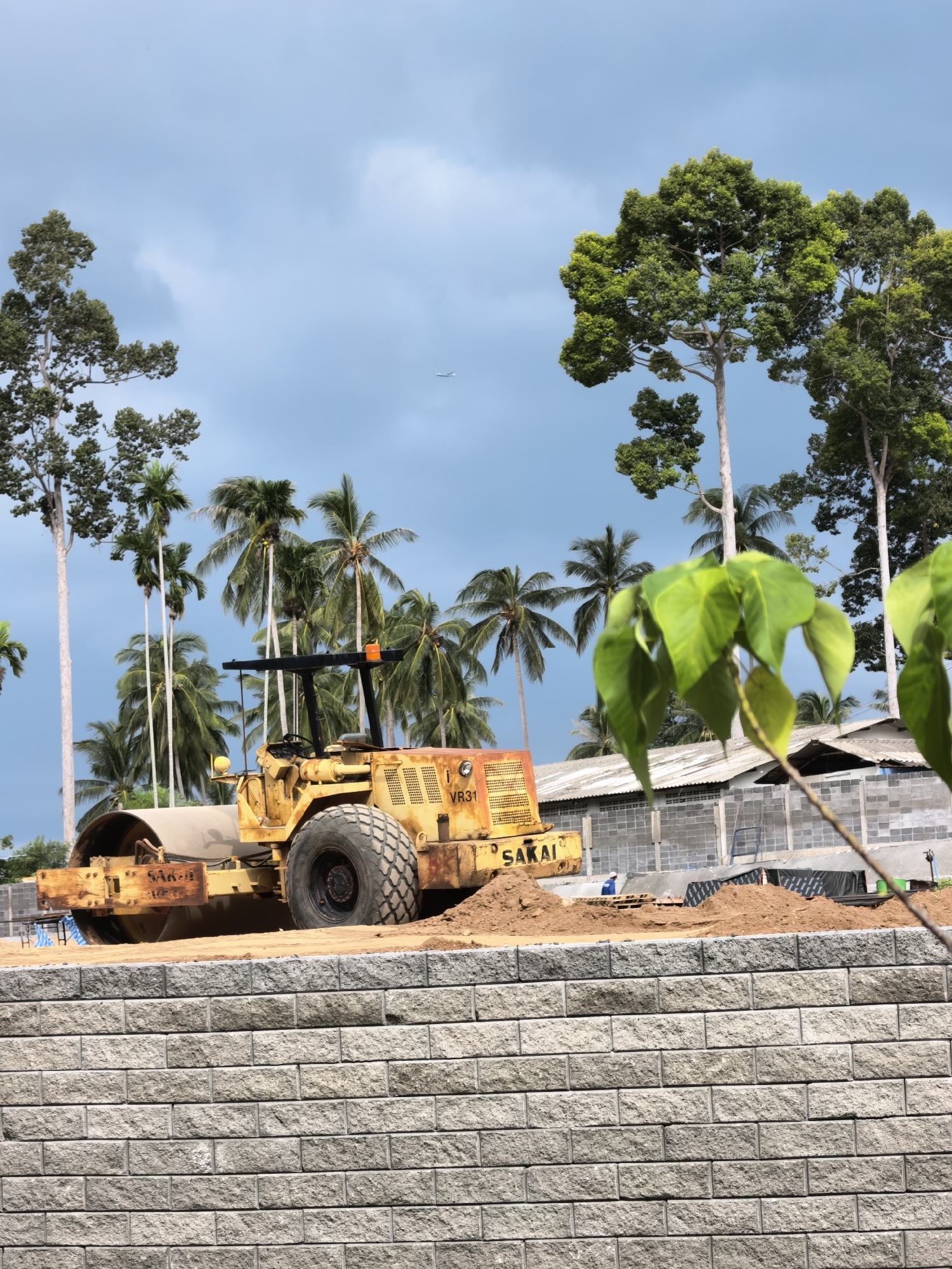 In Ko Samui District, Thailand, a yellow Sakai VR31 road roller is positioned on a construction site, with piles of dirt in front of it. The roller is situated behind a newly constructed retaining wall made of grey bricks. In the background, a line of palm trees stretches across the landscape, with several tall trees framing the scene. The sky above is partly cloudy, with a faint airplane visible in the distance. A building with a grey concrete block structure and a white roof is also present. In the foreground, lush green leaves obscure a portion of the image.