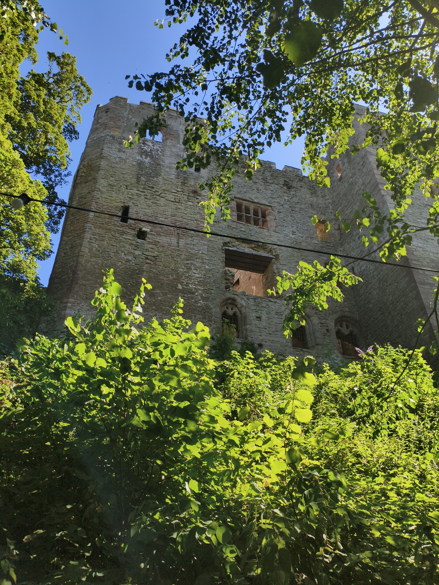A stone castle ruin is visible from a low angle, partially obscured by lush green foliage. The castle walls are constructed of rough-hewn stones and show signs of decay, with open windows and missing sections. Sunlight filters through the leaves, casting dappled shadows on the stone and greenery. The sky above is a clear, bright blue. The scene depicts Ludlow Castle in Ludlow, United Kingdom.