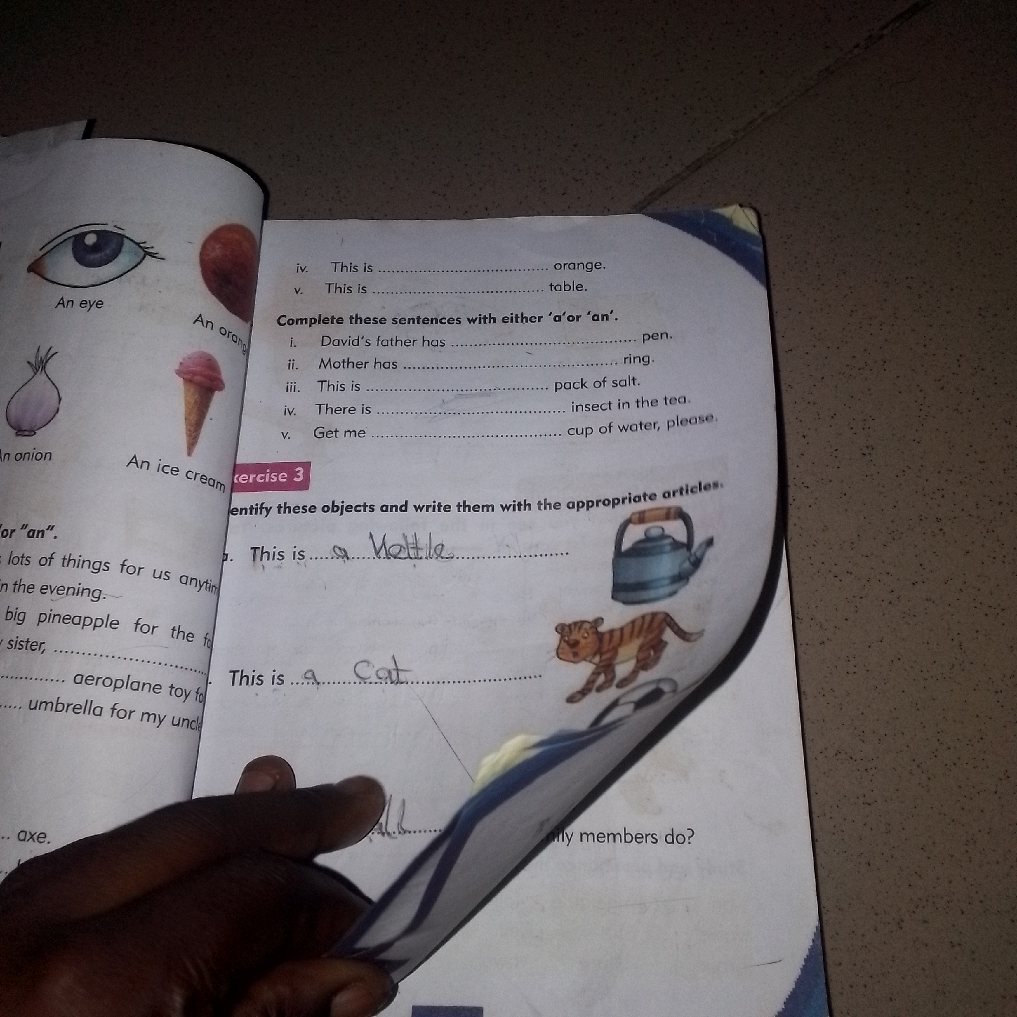 The image shows a close-up of an open book with handwritten answers. The book appears to be an educational workbook for children, with exercises related to grammar and object identification.
**Subjects:** The primary subjects are the book itself and a person's hand holding it open. The book displays various illustrations of common objects, including an eye, an onion, an ice cream cone, a kettle, and a tiger. There is also text containing instructions and fill-in-the-blank questions.
**Activity or Event:** The image captures a moment where someone is using the workbook, likely completing exercises or reviewing answers. The handwritten entries indicate an active learning process.
**Notable Details:**
* **Text:** Visible text includes headings like "Complete these sentences with either 'a'or 'an'" and "Identify these objects and write them with the appropriate articles." Specific questions and handwritten answers such as "An eye," "An onion," "An ice cream," "a Kettle," and "a Cat" are clearly legible.
* **Handwriting:** The handwriting appears to be that of a child or someone learning English, with some answers filled in and others left blank.
* **Illustrations:** The book contains simple, clear line drawings of various objects.
* **Setting:** The background is a textured surface, possibly a floor or table, with a speckled appearance. The lighting suggests an indoor environment, possibly during the day, although no specific time cues are evident.
**Location Cues:** While the image itself doesn't provide explicit location cues, the provided context mentions "Jalingo, Nigeria." This suggests the workbook and its completion are taking place in that region. There are no discernible weather or strong emotional cues in the image.
Overall, the image documents a child's learning activity with a workbook, highlighting the educational content and the personal engagement with the material.