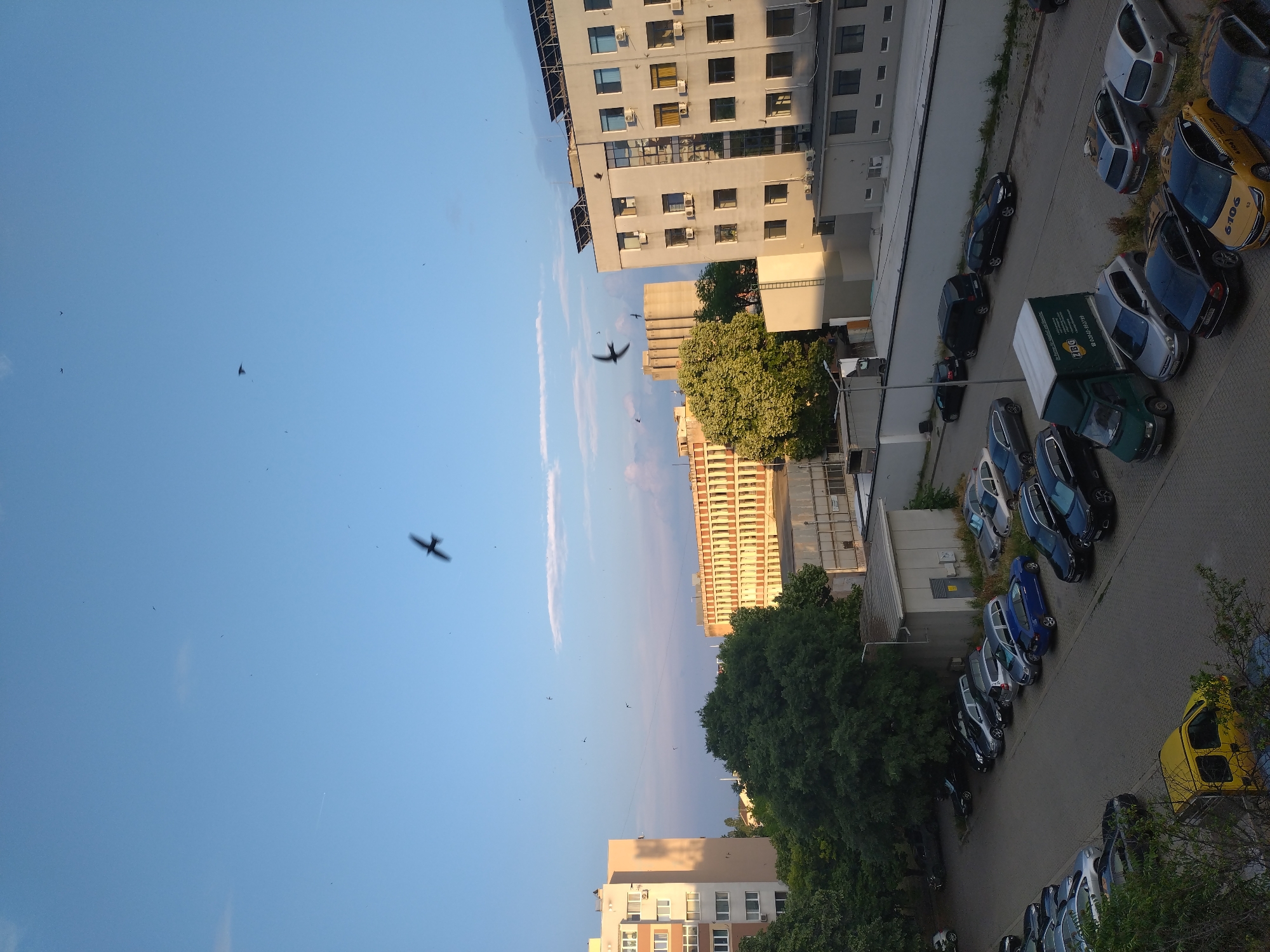 The image displays an urban landscape in Stara Zagora, Bulgaria, captured during late afternoon or early evening, evidenced by the golden light and long shadows. The sky is largely clear blue with minimal, wispy white cloud formations. Numerous small birds, likely swifts or swallows, are visible in flight across the upper half of the frame, some appearing as motion blurs.
The background features a mix of architectural styles. On the far left stands a multi-story residential building with a light-colored facade. Centrally, partially obscured by dense green trees, an older, large building with repetitive vertical window elements and a reddish-orange hue is visible. To its right, a tall, light-gray cylindrical structure, possibly a silo, rises above the tree line. On the far right, a modern, multi-story commercial or office building with a light gray exterior, large windows, and numerous external air conditioning units is prominent. Its roof is fitted with multiple solar panels.
The mid-ground and foreground are occupied by a paved parking lot containing various vehicles. A prominent white box truck with green lettering on its side is parked centrally. Other vehicles include a bright yellow taxi with "6106" and "TAXI" visible on its side, a dark blue sedan, several silver cars, and various other sedans, hatchbacks, and SUVs in dark colors. A smaller, single-story utility building with a dark roof and a gray door is situated at ground level on the left side of the parking lot. A white perimeter wall with a dark railing separates the parking area on the right. Dense green foliage from numerous trees frames the scene on the left and center. No individuals are discernible within the image.