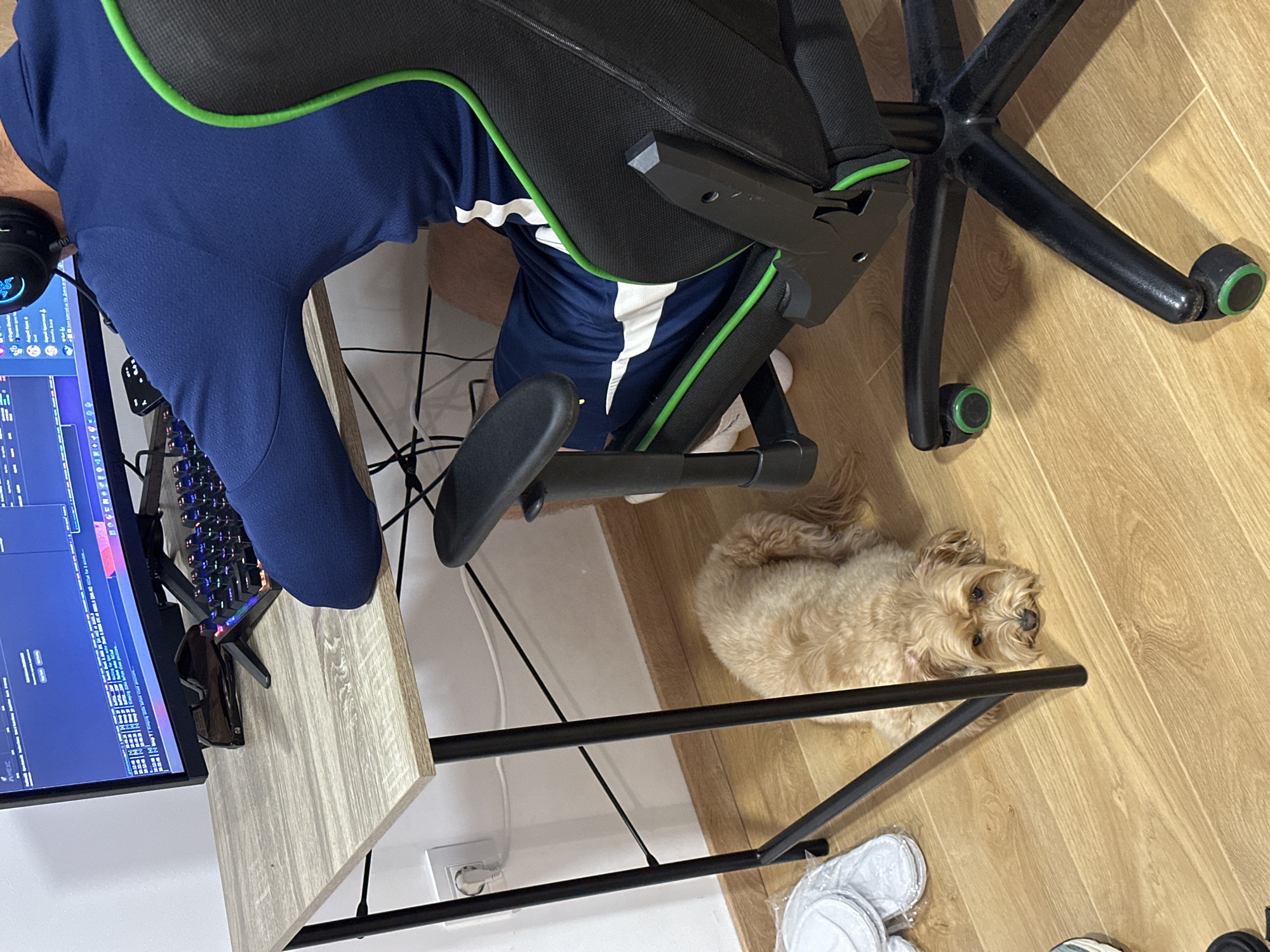A high-angle shot depicts a workspace scene. A person in a navy and white shirt is seated in a black and green office chair. A computer monitor displaying code sits on a light-colored desk with a keyboard. A light brown, small dog rests on the wooden floor under the desk. White slippers are on the floor near the desk leg. The photograph was taken in Donji Pobori, Montenegro.