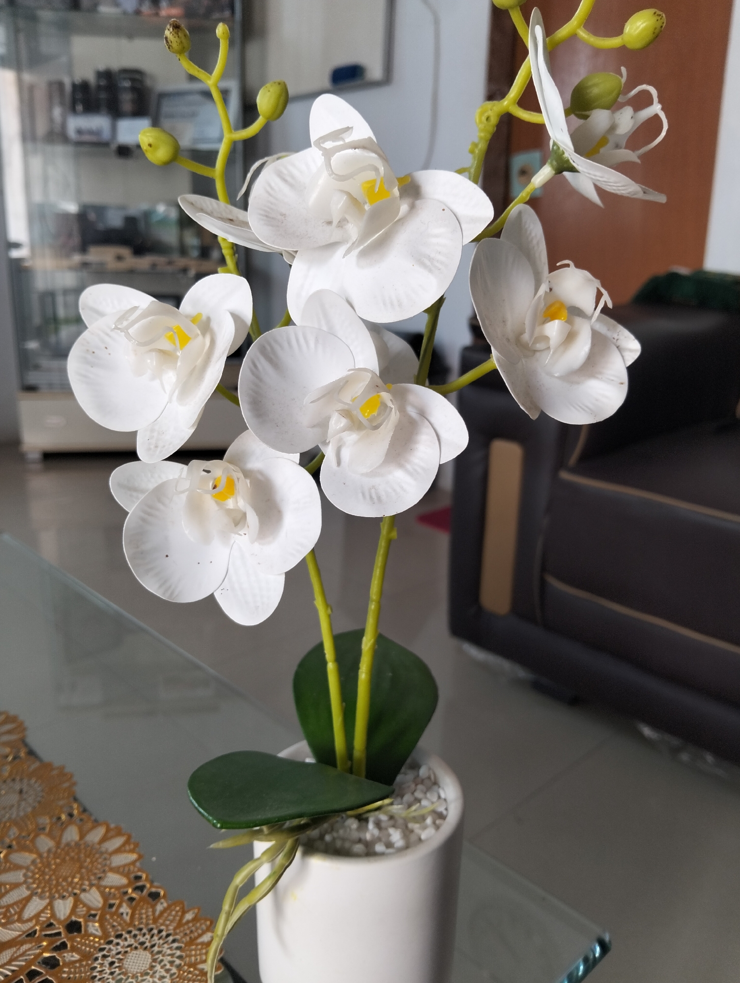 A still life photograph shows a white artificial orchid plant in a white pot on a glass table. The plant has multiple white orchid blooms with yellow centers and green buds on yellow stems. Green leaves are visible, as well as what appear to be aerial roots. The pot is filled with small white stones. To the left of the pot is a decorative gold lace doily. In the background, a dark brown leather sofa is partially visible, and to the far left, a glass cabinet with various items is out of focus. The overall scene suggests an indoor setting, possibly a living room or office. The location is stated as Julicotmeurak, Indonesia, but this is not visually ascertainable from the image.