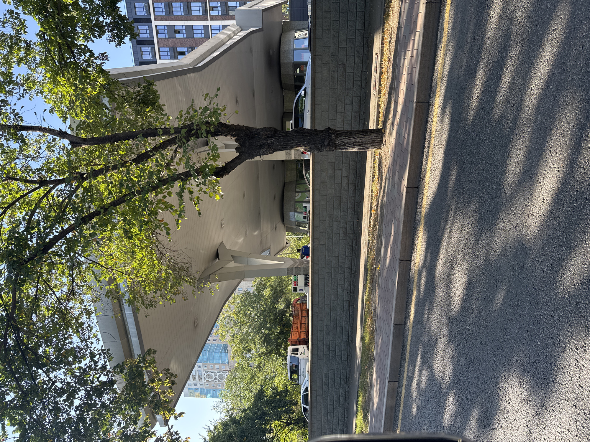 This is a photograph of a gas station in Almaty, Kazakhstan. In the foreground, a tree with green leaves casts dappled shadows across a paved road. Behind the tree, a low stone wall separates the road from the gas station. The gas station itself has a modern, curved roof supported by white pillars. Several cars are visible under the canopy, including a white SUV and a white truck with an orange cargo bed. In the background, tall apartment buildings and mature trees complete the urban landscape. The sky is clear and blue.