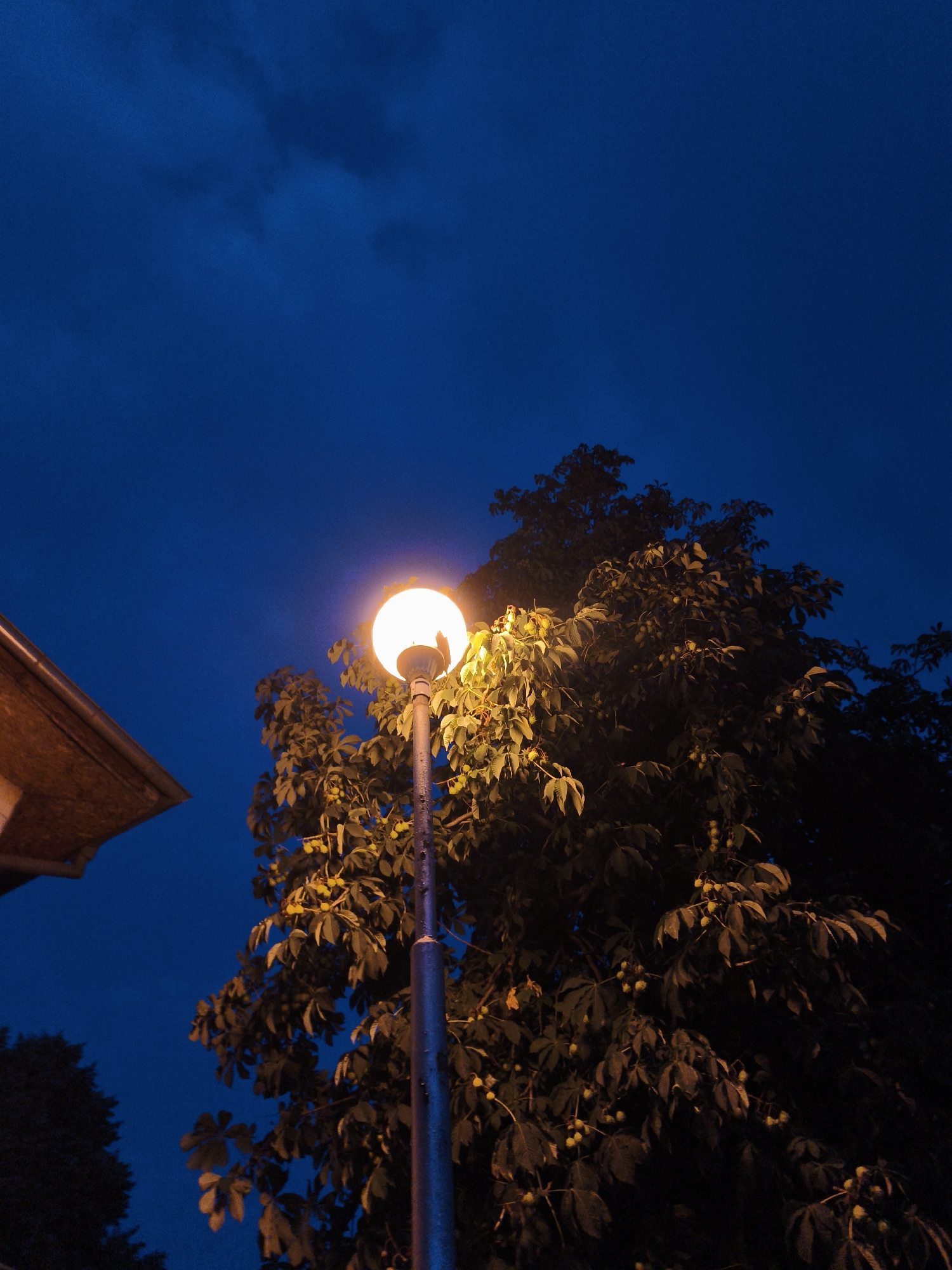 The image depicts a streetlamp illuminating a tree with several green, round fruits, set against a deep blue twilight sky. To the left, the corner of a building's roof, covered in brown tiles, is visible. The streetlamp is centrally positioned, its glowing spherical lamp casting a warm light on the surrounding foliage. The tree's leaves are a mix of green and yellow, and the fruits appear to be young conkers. The overall scene suggests an outdoor setting in a European town during dusk or early night. The location is identified as the city of Lovech, Bulgaria.