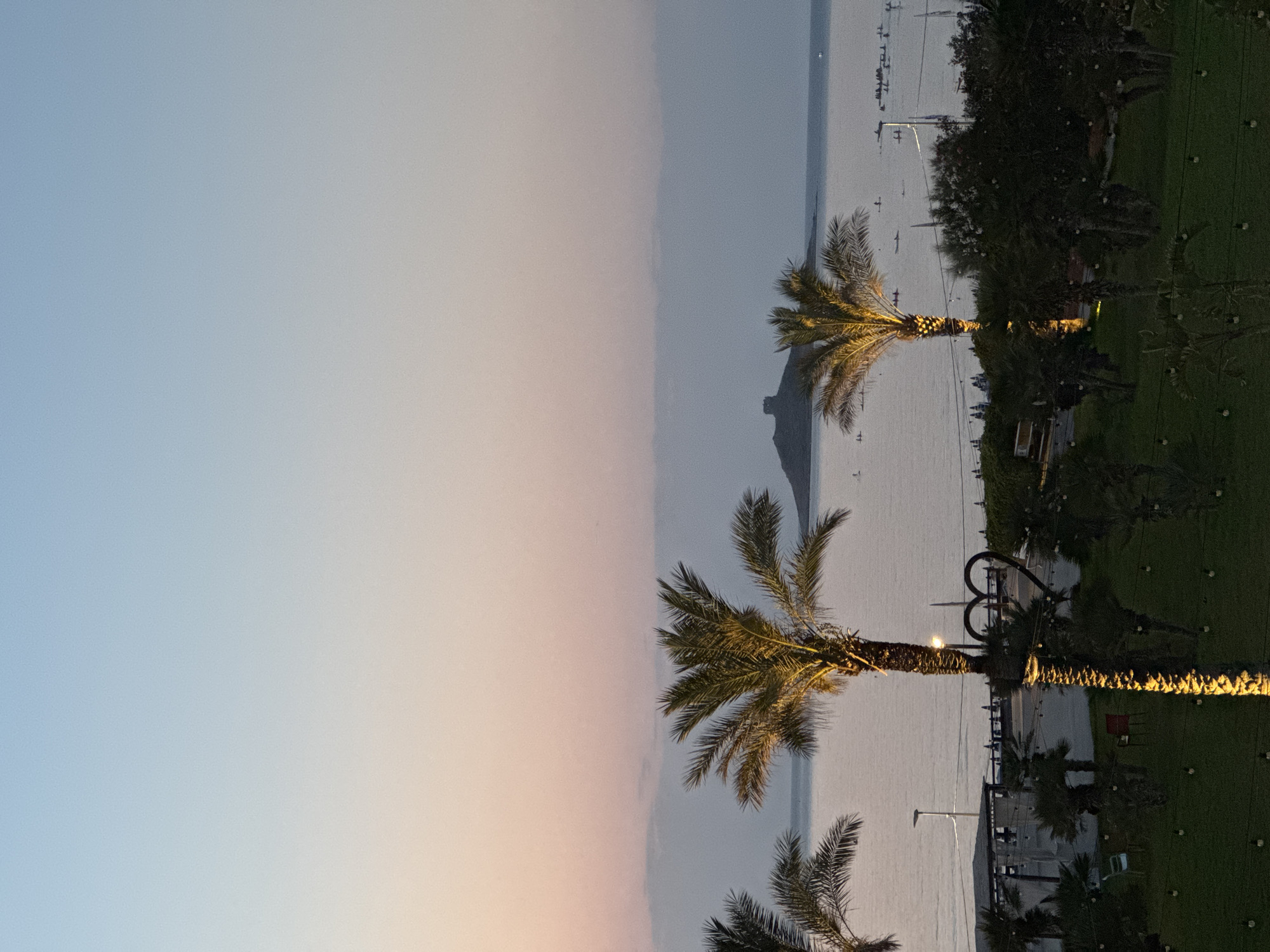 The image depicts a twilight scene at Isola delle Femmine, Italy, with a serene sea and a gradient sky transitioning from pale blue to soft pink. In the foreground, illuminated palm trees are prominent, their fronds casting warm shadows on the lush green lawn below. A dark, heart-shaped sculpture is visible among the trees. In the middle ground, a paved promenade lines the waterfront, with scattered seating and white tents suggesting an outdoor seating area. Several small boats and individuals on what appear to be paddleboards are scattered across the calm water. In the distance, the distinctive silhouette of Isola delle Femmine, an island with a prominent tower, rises from the sea. The overall atmosphere is tranquil and picturesque.