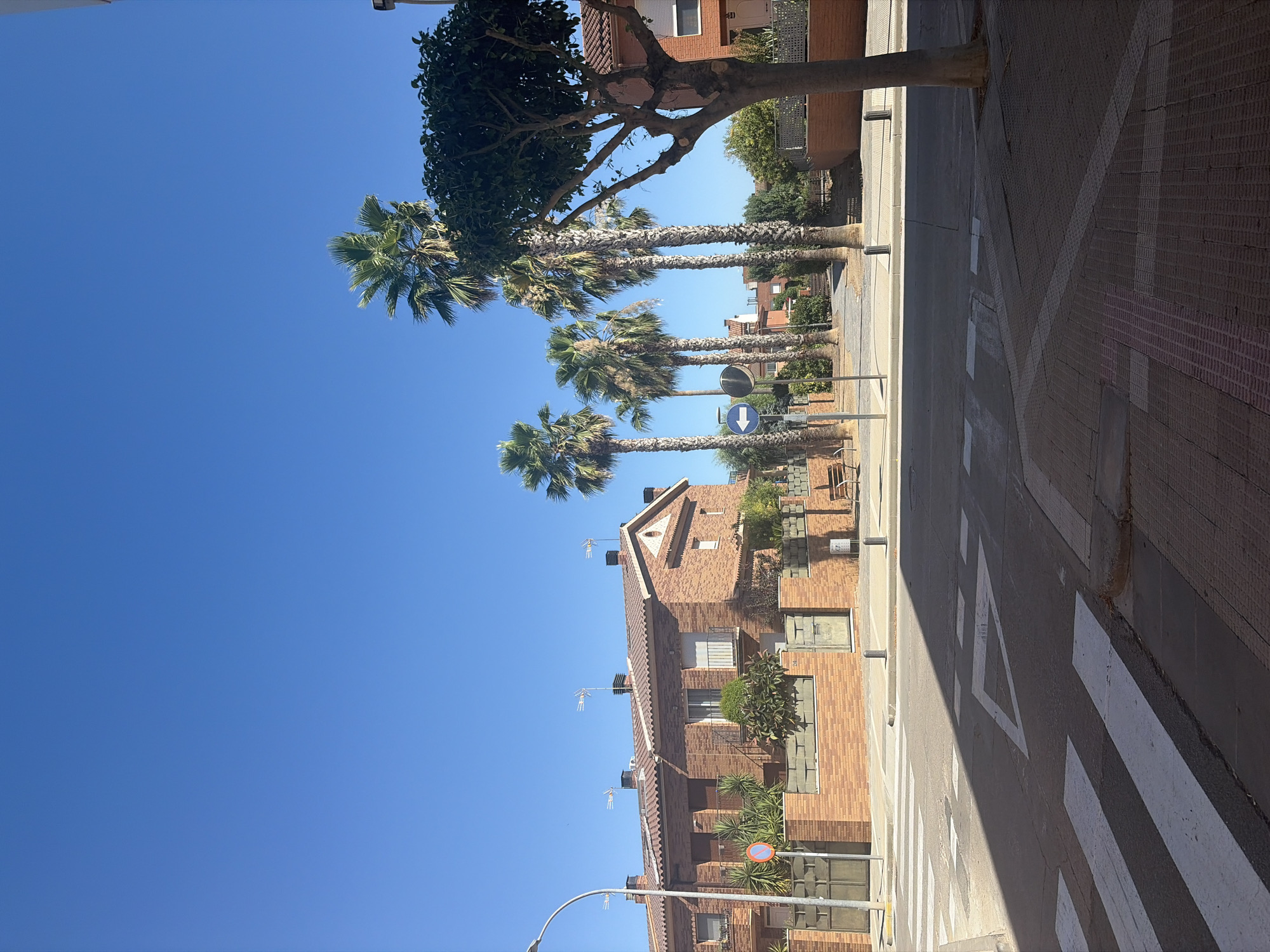 This is an outdoor, eye-level, medium-shot photograph taken on a clear, sunny day in Riudoms, Spain. The scene depicts a quiet residential street with modern, brick-built houses. In the foreground, a pedestrian crossing is visible on an asphalt road. A shadow from an unseen object or building falls across the crossing. To the left, a street lamp with a curved arm stands tall. Behind the crossing, a low brick wall topped with textured concrete blocks separates the road from a walkway lined with several tall palm trees. A circular street sign with an arrow pointing left is mounted on a pole. Further back, a row of houses with red-tiled roofs and brick facades are visible. One house has a prominent triangular decorative element above its entrance. The environment is tranquil, with no people or vehicles present. The overall impression is one of a peaceful, sun-drenched urban environment in Spain.
