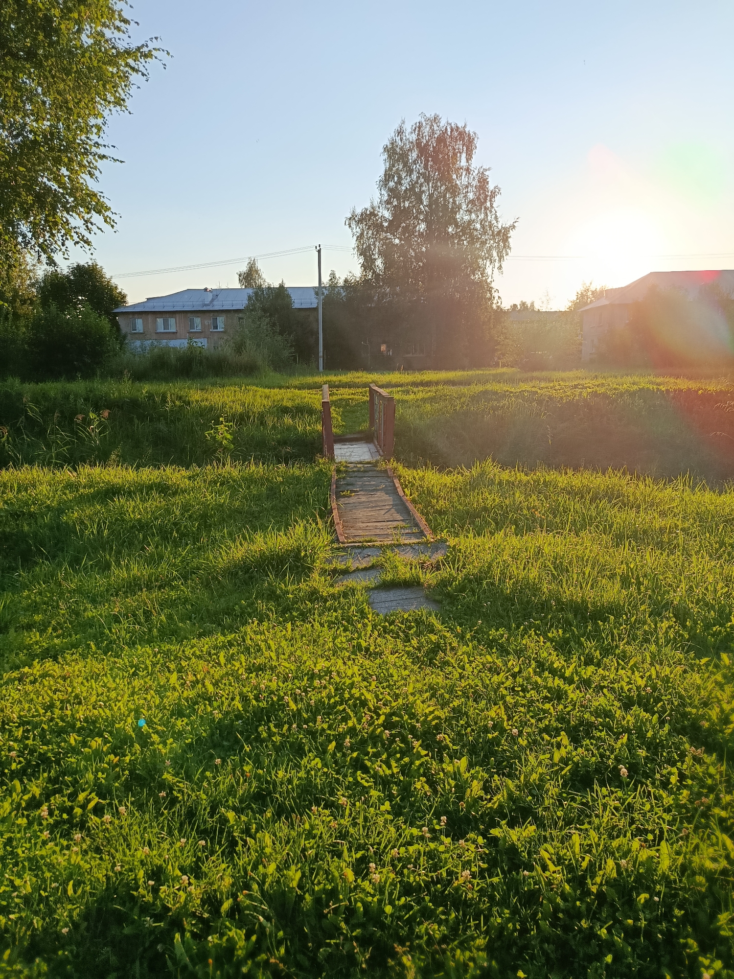 The image depicts a small wooden bridge crossing a grassy area, likely a ditch or small stream. The bridge has red railings and wooden planks. The surrounding area is covered in lush green grass with some scattered clover and small white flowers. In the background, there are trees and residential buildings, including a brick building with multiple windows and a lighter-colored building. The sun is low in the sky, casting long shadows and creating lens flare on the right side of the image. The scene appears to be in the city of Vereya, Russia, given the architectural style of the buildings and the vegetation. There are no people visible in the image. The overall atmosphere is peaceful and natural, suggesting an outdoor scene during a late afternoon or early evening in a rural or suburban setting.