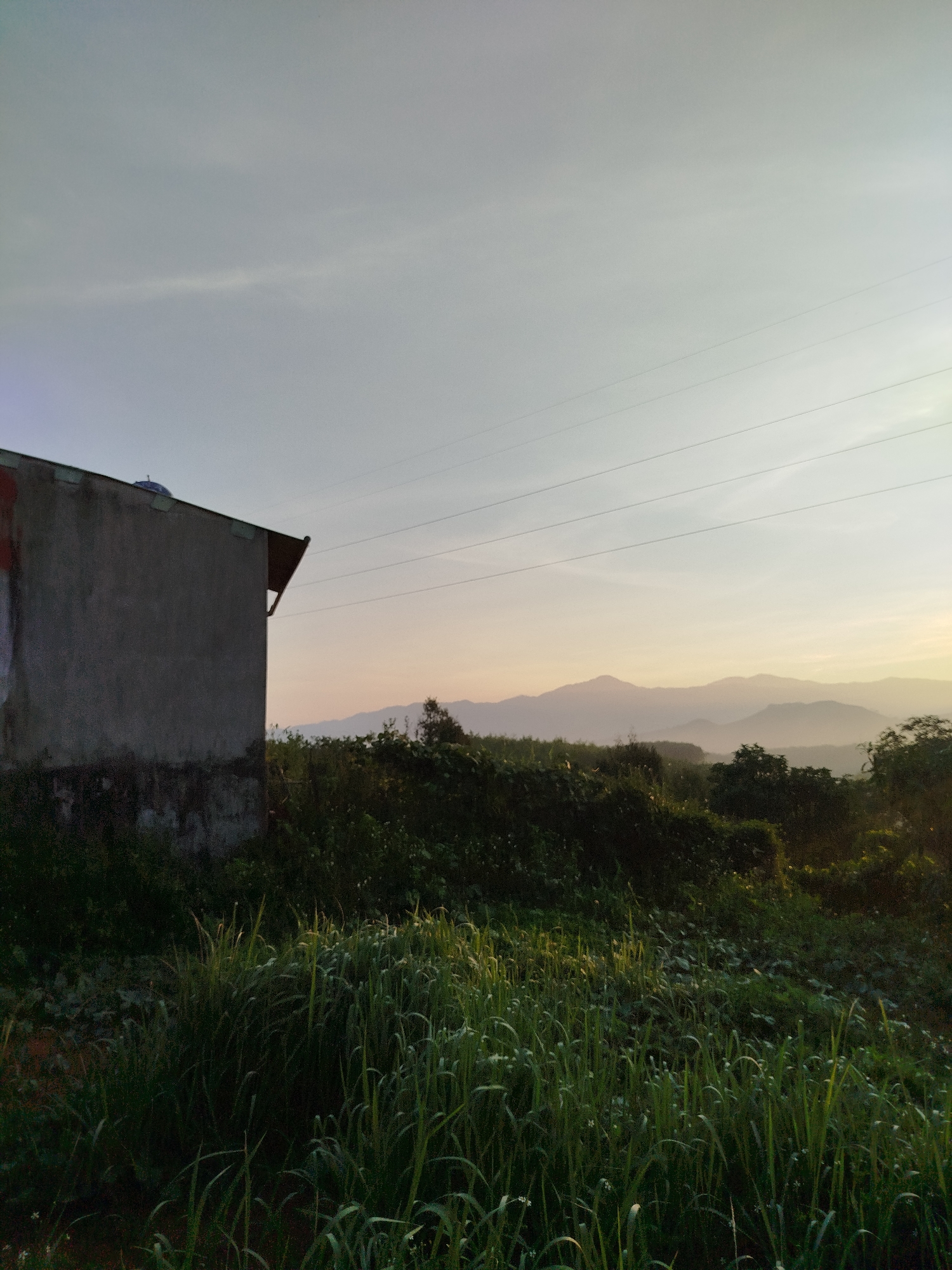 The image depicts a rural scene likely in or near Bờ Y, Vietnam. A weathered, concrete building stands to the left, with tall grass and vegetation in the foreground. Beyond the vegetation is a dense area of trees and shrubs. In the background, hazy mountains are visible against a light-colored sky, suggesting either dawn or dusk. Power lines stretch across the upper portion of the image. No people are visible.