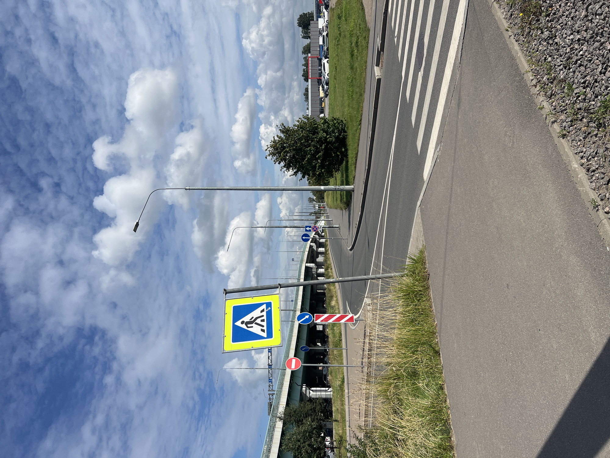 A pedestrian crossing sign is visible on the left side of the image, with a blue square and a white pedestrian symbol. Behind it, a road curves to the right under a large overpass. Several other traffic signs are present, including a red circular sign with a white horizontal bar, and a striped pole. The road is paved and has white lane markings. A crosswalk with white stripes is in the foreground. Tall green grass and dry reeds are on the left, bordering the sidewalk. On the right side of the road, a green grassy area is visible, with a large tree and a building in the background, which appears to be a commercial establishment. Several cars are parked in front of the building. The sky is blue with scattered white clouds. The image appears to be taken in Vsevolozhsk, Russia, likely on a bright, partly cloudy day.