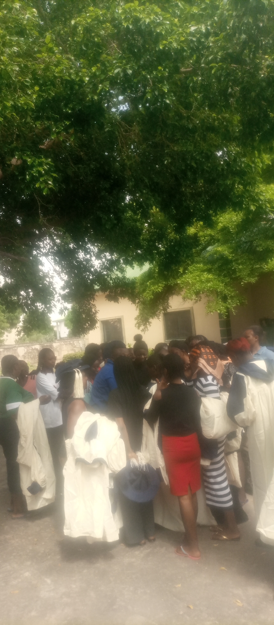 The image depicts a group of young women gathered outdoors in Jalingo, Nigeria, beneath a large tree with lush green foliage. The women are mostly dressed in light-colored, flowing garments, with some wearing white robes. Several individuals are holding additional garments, suggesting they may be involved in an activity related to clothing distribution or preparation. Some women are wearing casual attire underneath, including a red skirt and a blue shirt. The background shows a building with windows and a cream-colored exterior. The ground appears to be paved. The overall scene suggests a communal gathering in a relatively open space, possibly at an educational institution or a place of worship, given the attire.