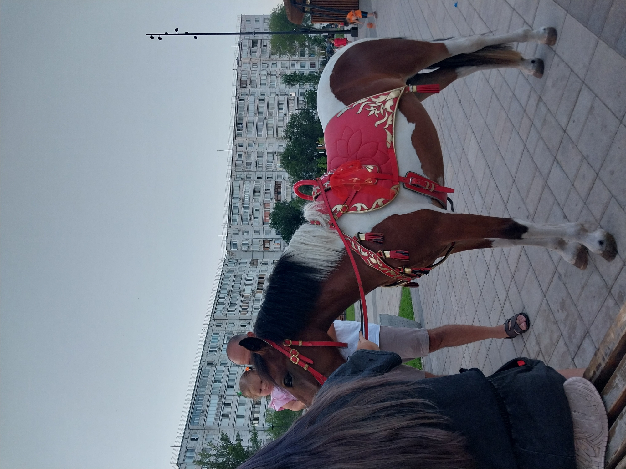 A pinto pony with a red and gold saddle is standing on a paved area in front of a large, multi-story apartment building. A man is holding a young child wearing a pink dress. A person with long, dark hair is standing to the left of the pony. In the background, a few other people are visible, including a child playing with a ball. The sky is overcast.