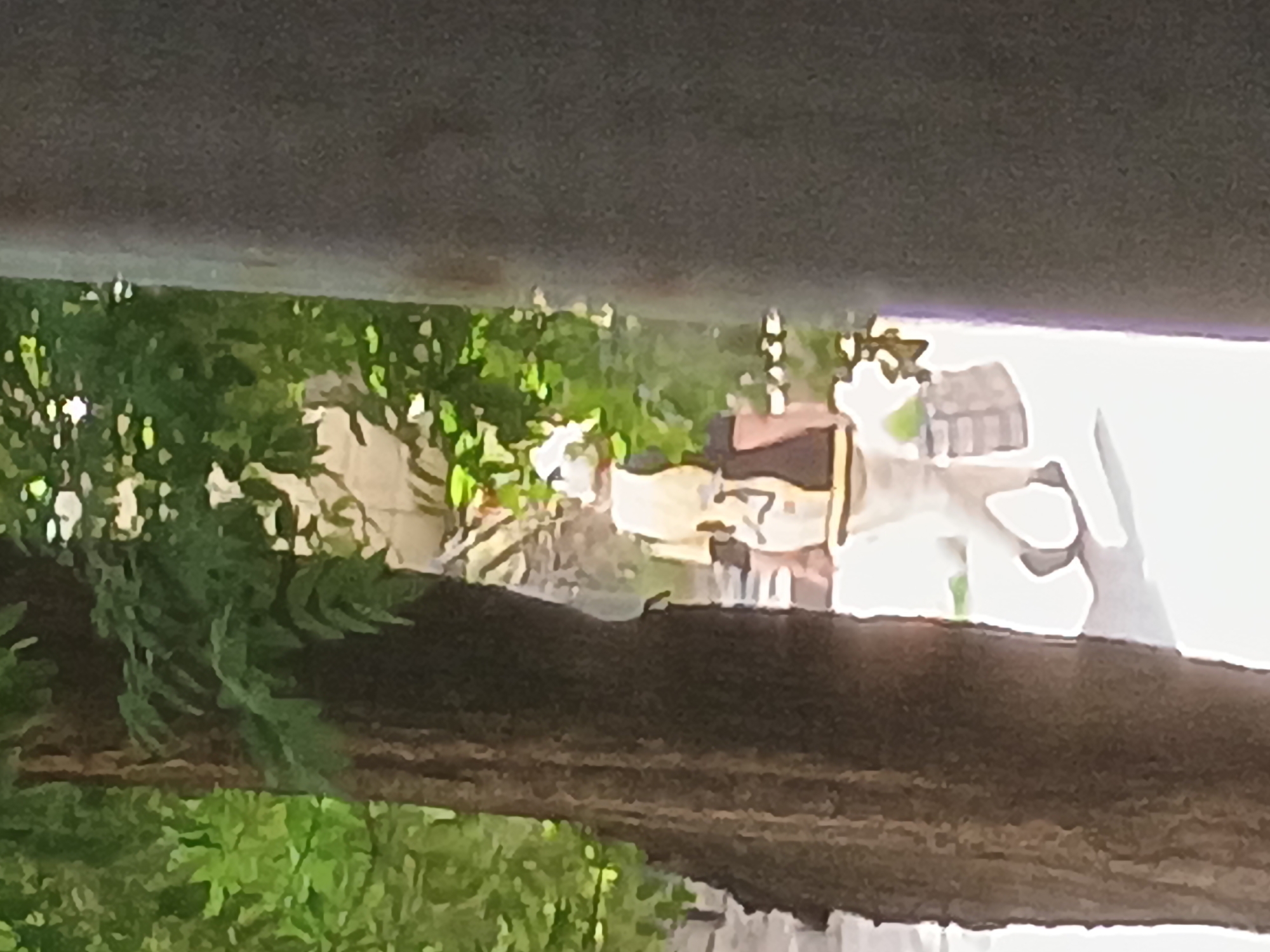 The image shows a blurry, low-resolution view through a dark, textured horizontal obstruction, possibly a wooden beam or roof overhang, into an outdoor scene. Below the obstruction, lush green foliage, likely trees and bushes, is visible, with some appearing to be ferns. Beyond the greenery, a settlement or village can be seen. Buildings with light-colored walls and reddish-brown roofs are present, suggesting a residential area. The overall impression is of a rural or suburban setting. The lighting appears bright, with sunlight illuminating the scene, indicating it's daytime. The presence of greenery and buildings suggests a mild climate. The image lacks any discernible text. The context provided places the scene in Zaporizhzhia, Ukraine.