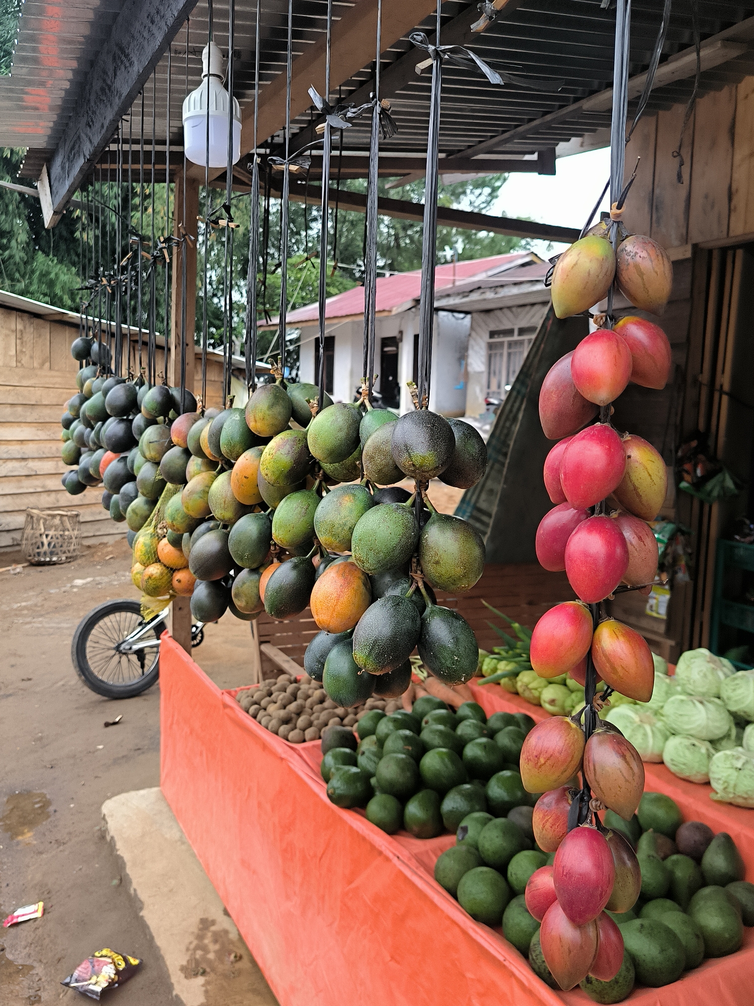 The image depicts an outdoor fruit stall, likely in Bintangpermata, Indonesia, with various fruits hanging and displayed. In the foreground, a bright orange tarp-covered stand displays a large quantity of green avocados and a pile of smaller brown fruits, possibly kiwis or limes. To the right, several heads of pale green cabbage are visible.
Dominating the mid-ground and foreground are numerous strings of fruits hanging from an overhead structure. These consist of dark green, oval-shaped fruits, possibly avocados, and brightly colored, elongated fruits resembling tamarillos or tomatoes, in shades of red, pink, yellow, and orange. A bright white LED light fixture hangs from the overhead structure.
In the background, a wooden building with a corrugated metal roof and wooden walls is visible. Trees and other vegetation are present behind the building. The ground is a mix of dirt and concrete, with some puddles of water suggesting recent rain. A bicycle wheel and part of a bicycle frame are visible on the left side of the image, near a woven basket. A few discarded snack wrappers are on the ground. The scene appears to be an active market or roadside stall.