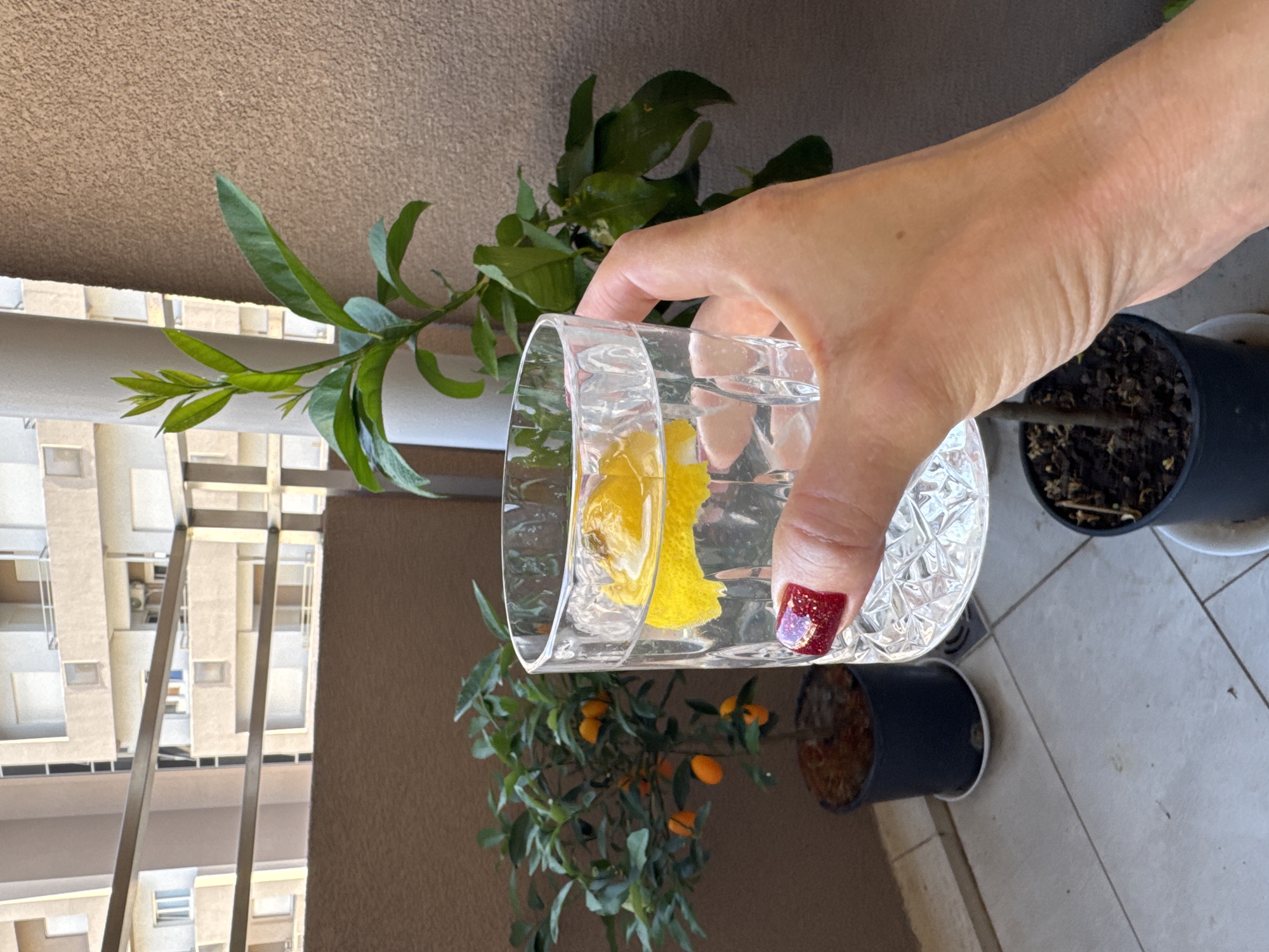 A hand with red nail polish holding a clear glass of water with a slice of lemon is positioned in the foreground of the image. In the background, two potted plants are visible on a tiled balcony. One plant is a small citrus tree with several orange fruits. The other plant appears to be a sapling with green leaves. Beyond the balcony, a building with multiple floors and balconies can be seen, suggesting an urban setting. The lighting indicates it is daytime.