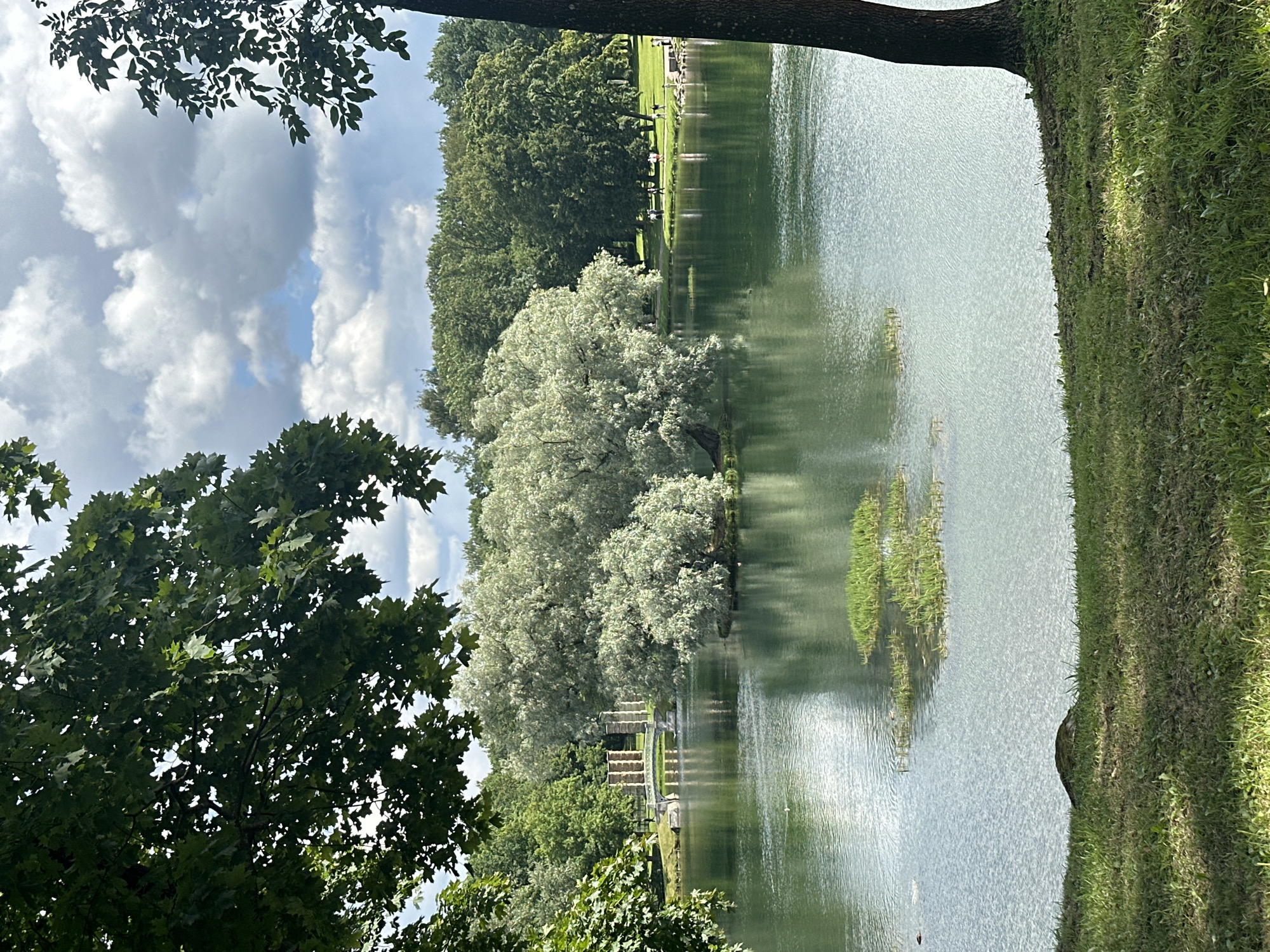This image depicts a scenic view of the Silver Lake in Gatchina, Russia, within the Gatchina Palace park. The foreground features lush green grass and the lower trunk of a dark-barked tree on the right. The lake occupies the central portion of the image, with its surface rippling and reflecting the sky and surrounding greenery. A small cluster of aquatic plants grows in the middle of the lake.
In the background, a large, leafy tree with silvery foliage dominates an island in the lake. Further across the water, a stone bridge with decorative pillars spans the lake, connecting to a grassy bank. Along the far shore, a line of mature trees forms a dense forest. Several people are visible walking and standing on the grass along the distant bank, enjoying the park. The sky above is a mixture of white, fluffy clouds and patches of blue. The overall impression is one of a serene and natural park landscape on a pleasant day.