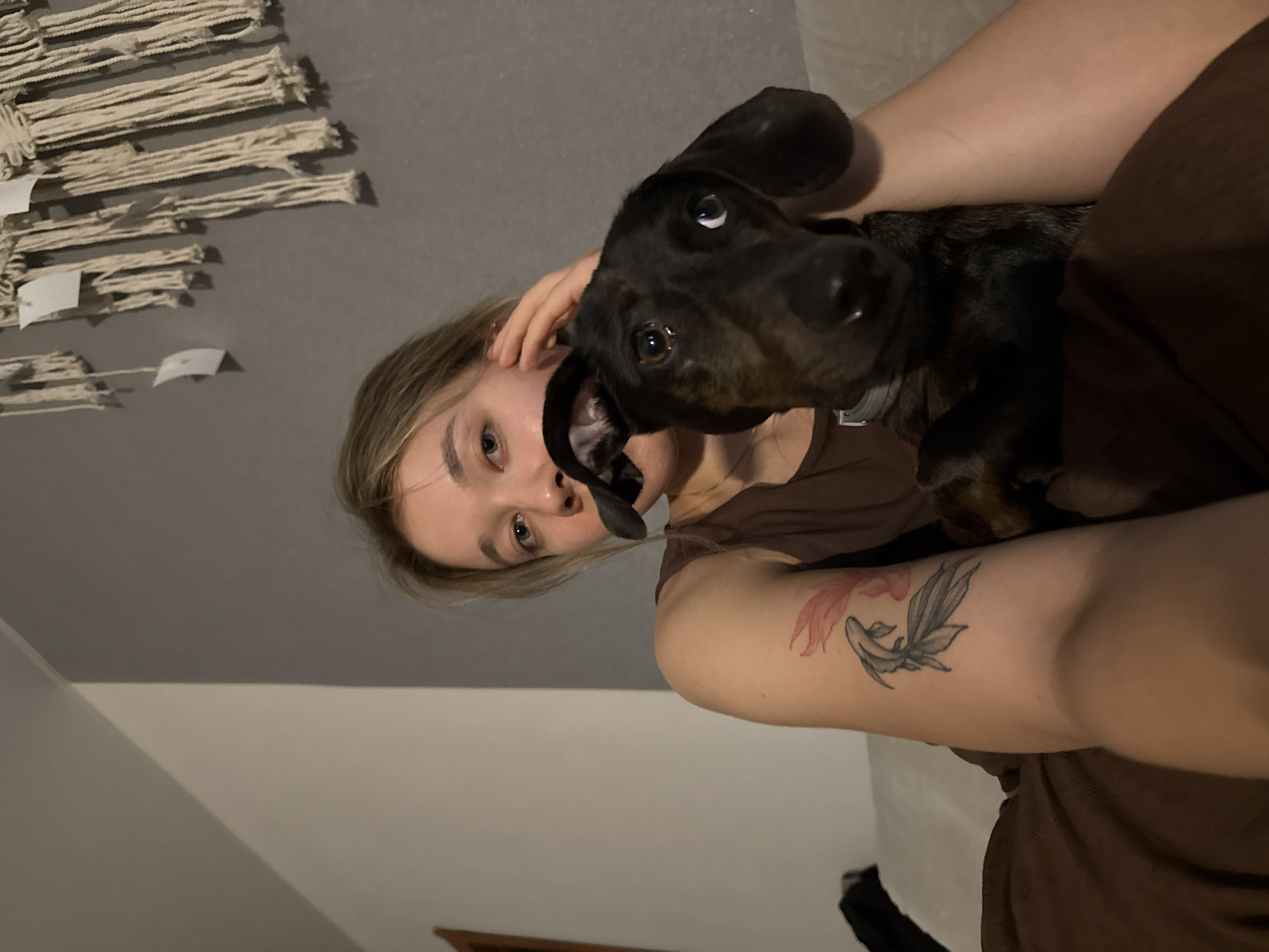 A young woman is seated on a couch, holding a dark-colored dog, possibly a dachshund, in her arms. The woman has blonde hair and is looking towards the camera. She is wearing a brown top. On her left arm, a tattoo of two fish is visible. The dog is dark brown with lighter markings and is positioned in front of the woman, with its head close to hers. The background consists of a wall with a macrame tapestry hanging on it. The setting appears to be an indoor residential environment, likely a living room. There is no visible indication of the location being in Noviy, Russia.