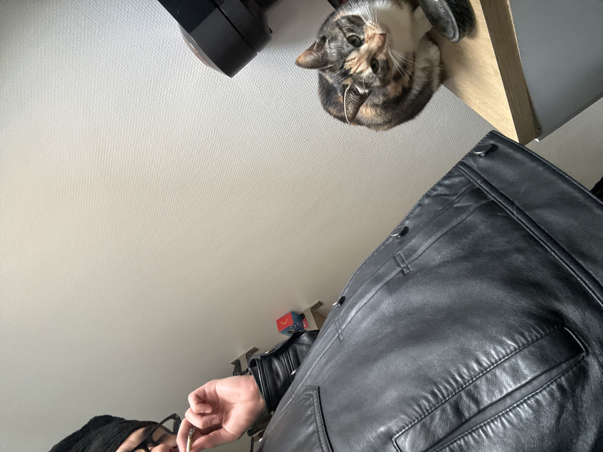 The image is taken from a low angle, looking up. In the upper part of the frame, a cat is perched on a wooden surface. To the left of the cat, there is a black object. In the lower right corner of the frame, a person wearing a black leather jacket is visible. In the lower part of the frame, a hand is holding a thin object, possibly a cigarette or a thin stick. The background appears to be a plain, light-colored wall. The environment suggests an indoor setting. There is no evidence to suggest that the location is Paris, France.