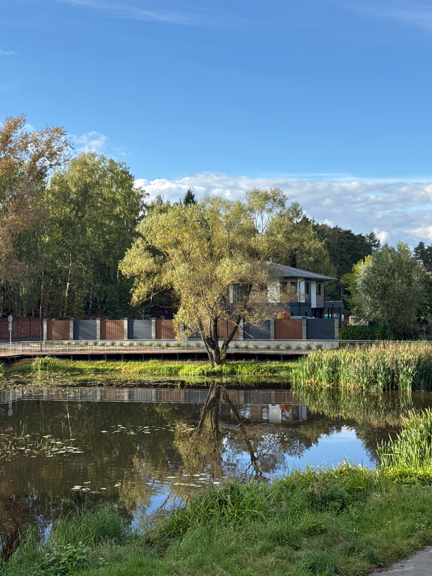The image depicts a serene waterside scene in the city of Nemchinovka, Russia, bathed in the soft light of what appears to be late afternoon. A tranquil body of water dominates the foreground, its surface reflecting the surrounding trees and the sky. Lily pads dot the water's surface, and tall reeds grow along the bank to the right.
A wooden walkway with white railings runs along the water's edge, separating the water from a fenced area behind it. The fence is constructed from a combination of brown and grey panels, with stone pillars at intervals. Beyond the fence, a modern, multi-story house is visible, characterized by its dark and light grey and white facade.
Behind the house and fence, a dense line of trees forms a backdrop. The trees exhibit a mix of green and yellow foliage, suggesting the onset of autumn. The sky above is a vibrant blue, punctuated by scattered white clouds. The overall impression is one of peaceful coexistence between nature and modern architecture, set against the backdrop of a Russian landscape. There are no people visible in the image.