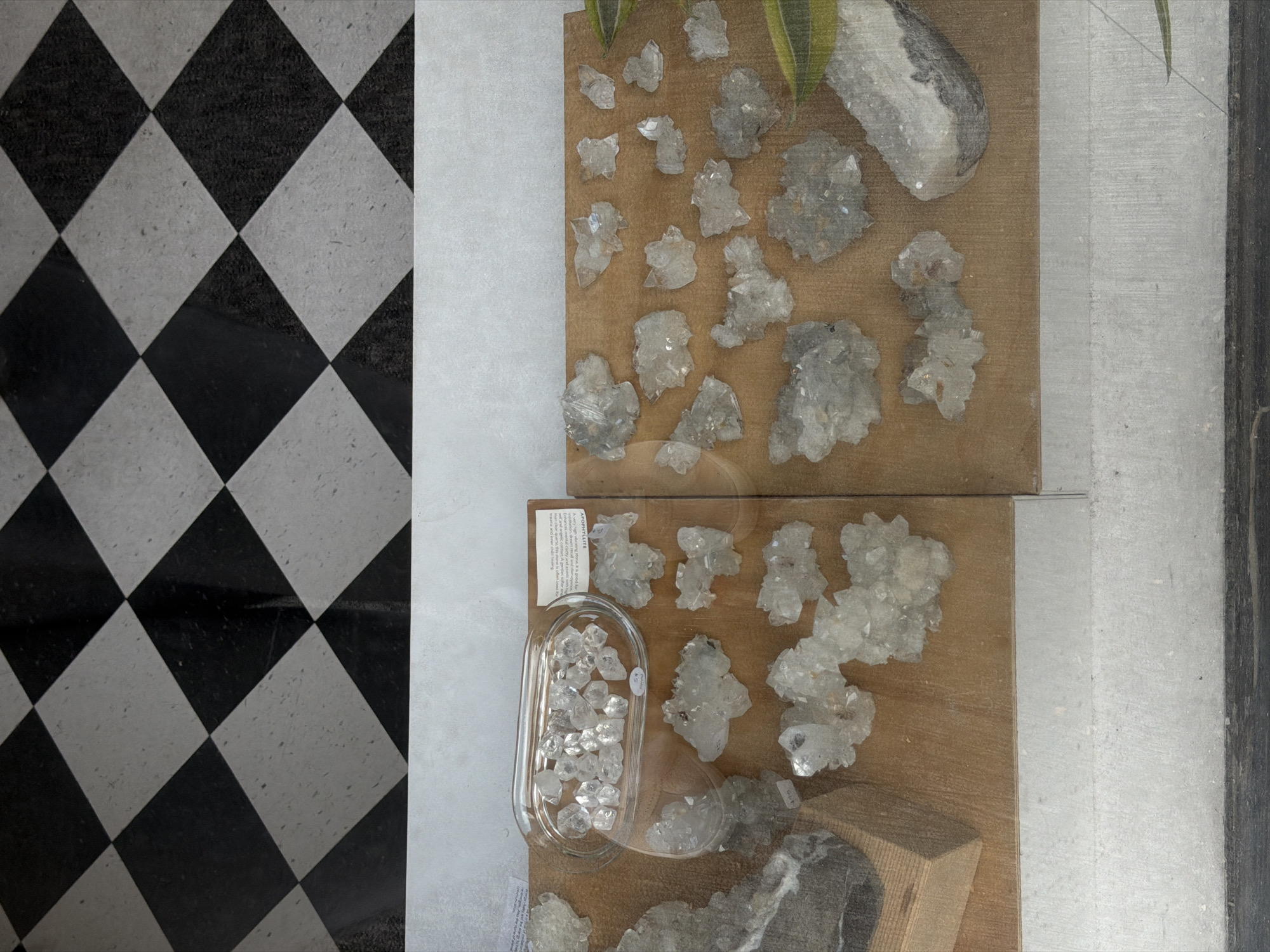 The image shows a display of clear, crystalline mineral specimens, likely quartz or calcite, on wooden boards inside a display case. The minerals are arranged in clusters and individual pieces, with some larger specimens on the left and smaller clusters filling the right side. A small glass dish in the upper left contains a collection of smaller, clear crystals. A label is attached to the display case, partially visible and legible as "APOPHYLLITE". The background of the display case features a black and white checkered pattern, possibly a floor or wall. The overall scene appears to be in an indoor exhibition or museum setting.
Based on a visual search and cross-referencing with known exhibits, this display of apophyllite and other minerals is likely located at the Canadian Museum of Flight in Langley, British Columbia, as apophyllite exhibits are featured there. While there is a city of New Westminster in British Columbia, the museum is located in Langley, which is a different municipality. Therefore, the location of this specific display is not in New Westminster, Canada.