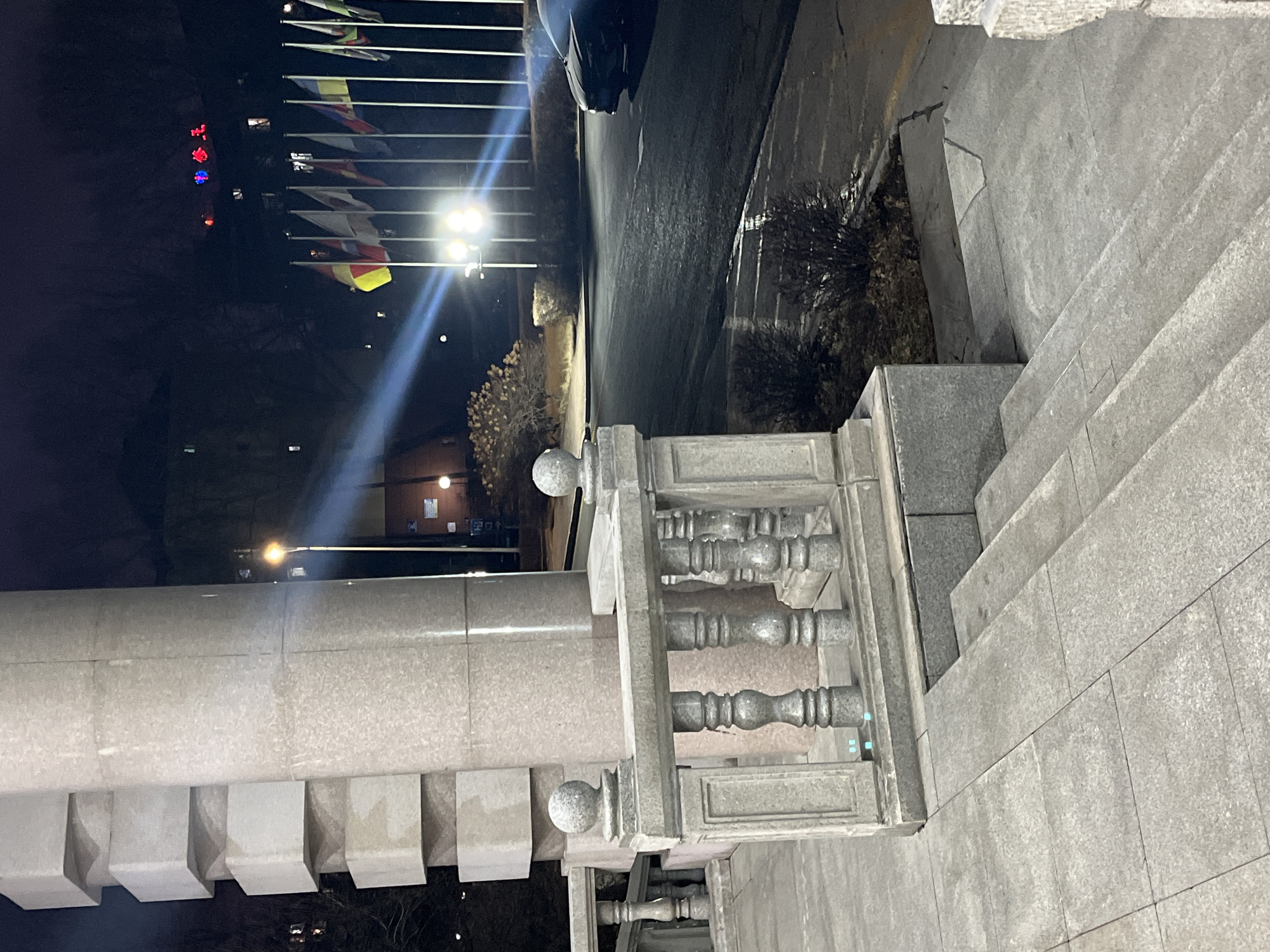 The image depicts an outdoor scene at night in Changchun City, China, as indicated by the flags of various countries, including the Chinese flag. The view is taken from an elevated position, possibly a building or stairs. The foreground features a stone balustrade with decorative elements. To the right, there are stone steps leading upwards.
In the background, a street is visible with flags illuminated by streetlights. There appears to be a vehicle parked on the side of the road. Additionally, illuminated red and blue signage is visible further in the distance.