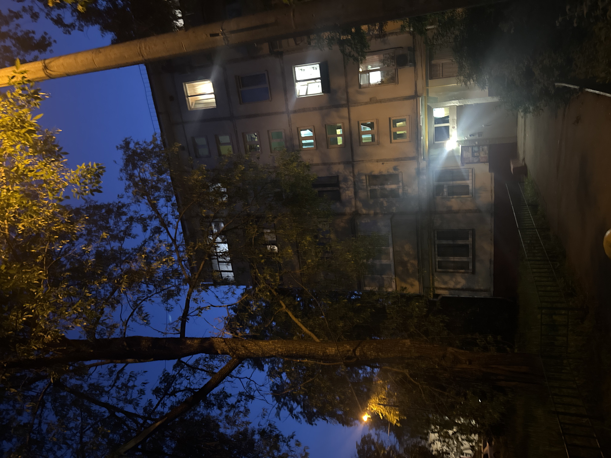 At night, a multi-story apartment building is visible. The building has multiple windows, some with lights on inside. A large tree occupies the lower left of the frame, with branches obscuring parts of the building and the night sky. A pole runs along the top left of the image. Based on architectural style, potential locations could include Moscow, Russia, but specific identifying details are needed for confirmation.