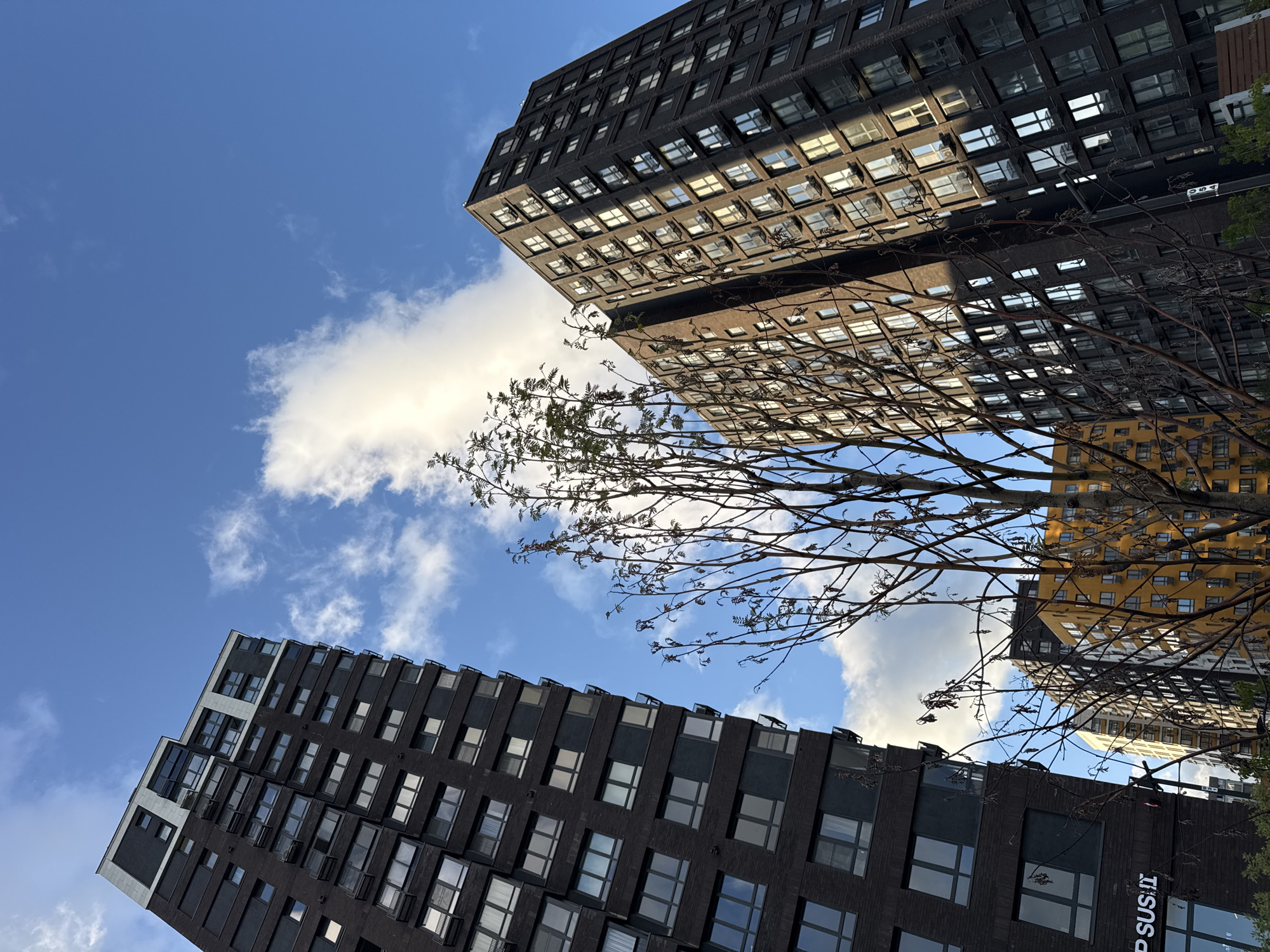 This is a low-angle, exterior, daylight shot of modern apartment buildings in the city of Kommunarka, Russia. The sky is a clear, bright blue with scattered white clouds. In the foreground, bare branches of a tree are silhouetted against the sky and buildings.
On the left, a tall, dark brown brick apartment building with a white and grey facade at the top dominates the left side of the frame. It has numerous windows and balconies.
In the center, a bright yellow apartment building is visible behind the tree. To the right of the yellow building, another dark brown brick apartment building is visible, similar in style to the one on the left, with many windows reflecting the sky and sunlight. The buildings appear to be part of a residential complex. There are no people or animals visible in the image. The overall impression is of a modern urban residential area under a clear sky.
