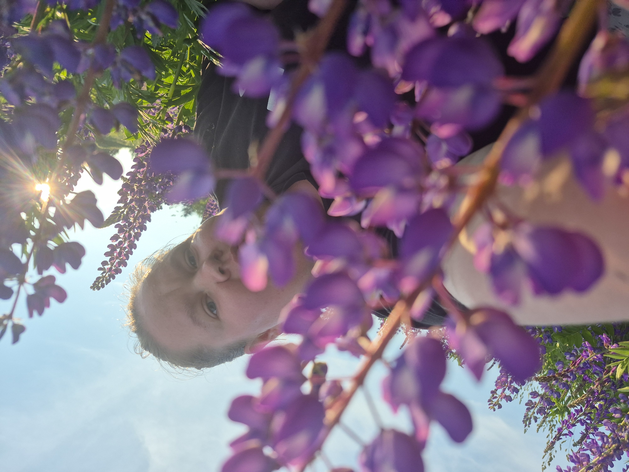A low-angle, wide-shot photograph captures a woman partially obscured by purple lupine flowers in a field under a bright, blue sky. The woman is seen from the neck up, with her face turned towards the camera and her eyes looking directly at the viewer. She has fair skin and her hair is pulled back. The lupine flowers are in sharp focus in the foreground, with some blurred purple blossoms and green stems filling the lower half of the frame. The background shows more lupine flowers and green foliage, with the sun glinting through the blossoms on the right side of the image, creating a lens flare. The sky is clear with a few wispy clouds. The scene appears to be a natural outdoor setting, possibly a meadow or garden, with no visible urban structures. The location is identified as Doynaya, Russia.
