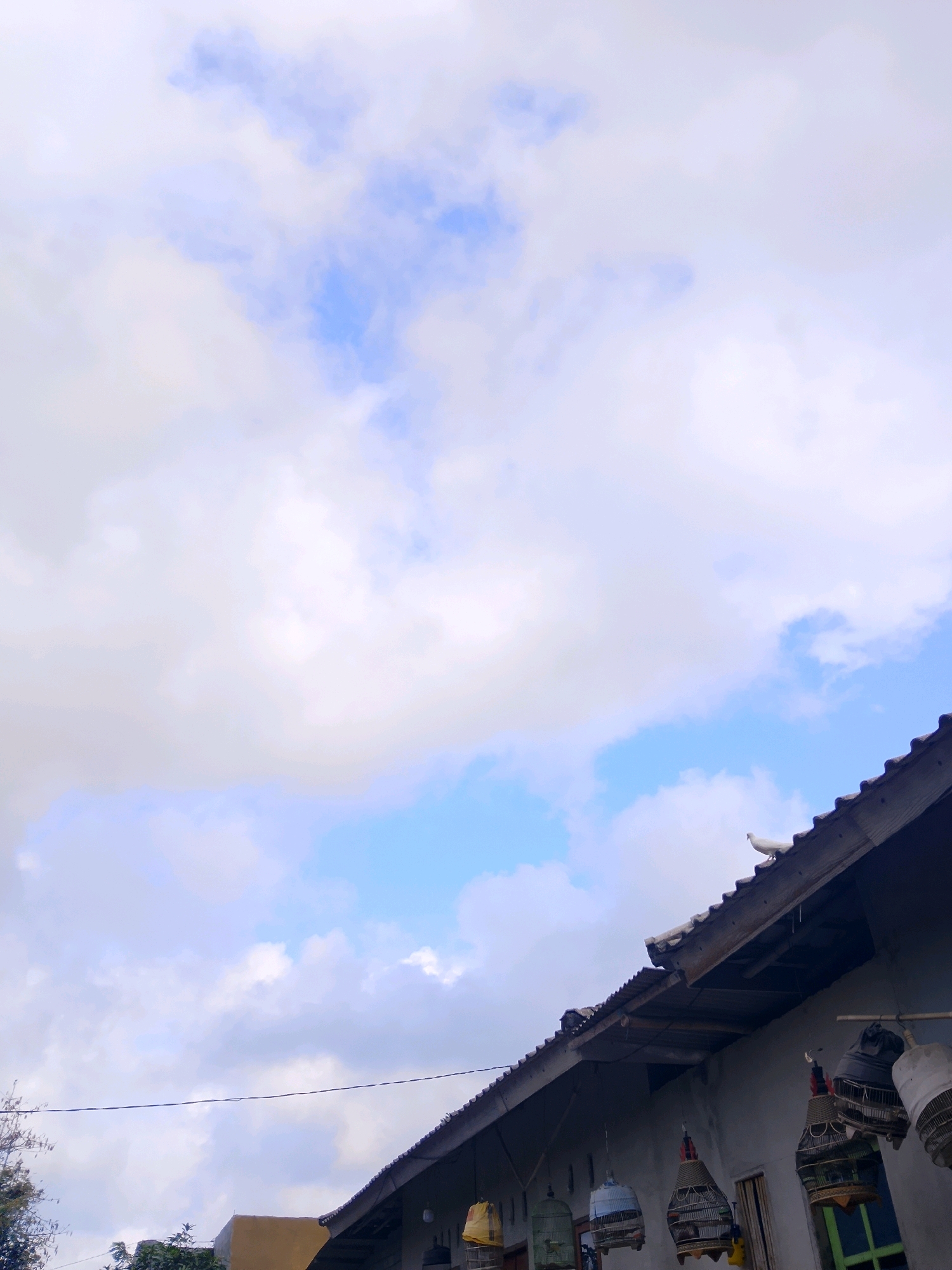 A white dove perches on the peak of a dark, tiled roof of a single-story building. The building's wall is gray and has several decorative birdcages hanging from it. The sky above is a mix of bright blue and white clouds. The image is taken from a low angle, looking upwards towards the roof and sky.