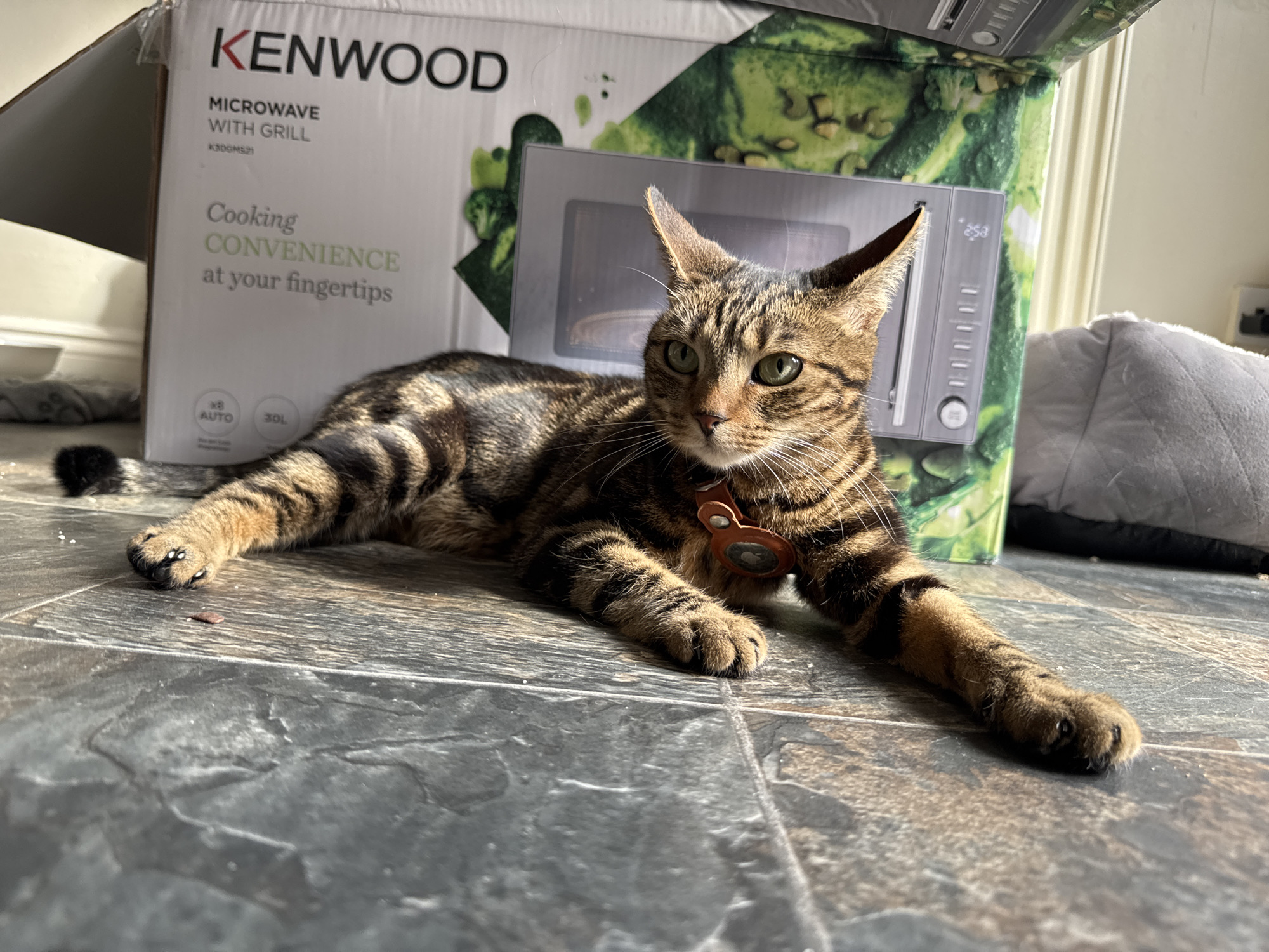 A tabby cat is lying on a tiled floor, with a Kenwood microwave box behind it. The box is open and the microwave is partially visible. The cat is lying with its front paws outstretched. It has a collar with a circular tag on it. A gray pillow is also in the background. The image was taken indoors in Desborough, United Kingdom.