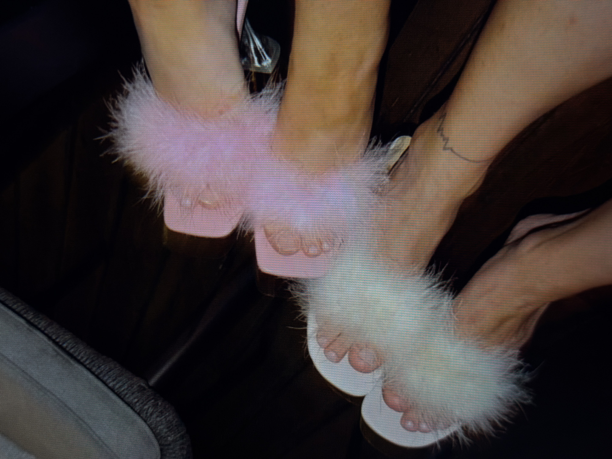 The image shows a close-up view of two pairs of feet wearing fluffy slippers. The slippers are white and pink. One pair of feet is wearing white slippers, and the other pair is wearing pink slippers. The feet are resting on a dark surface, possibly a couch or bed. There is a tattoo on one of the ankles. The image appears to be taken indoors. There is no indication of the location in the city of Sirius, Russia.