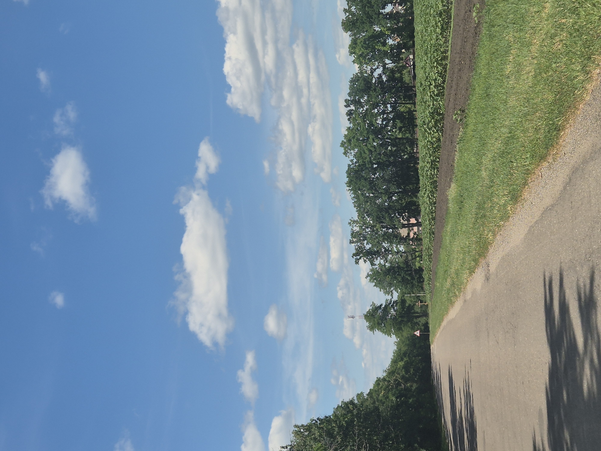The media file shows a view of a rural road in Sozonivka, Ukraine, on a bright, sunny day. The road curves gently to the right, bordered by a grassy verge and agricultural fields. On the left side of the road, a dense line of lush green trees forms a natural boundary, with the tops of buildings peeking through in the distance. Further beyond the trees, a vast, bright blue sky is filled with scattered white, fluffy clouds. On the right side of the road, the field transitions from freshly tilled dark soil to a vibrant green crop, possibly sunflowers, given the characteristic tall stalks visible. The overall impression is one of a peaceful, warm summer day in the Ukrainian countryside, with a clear indication of agricultural activity. There are no people or specific objects of note, other than a triangular warning sign with a red border and an icon visible on the roadside in the distance. The lighting suggests it is daytime, likely late morning or early afternoon, with the sun casting distinct shadows from the trees onto the road surface.