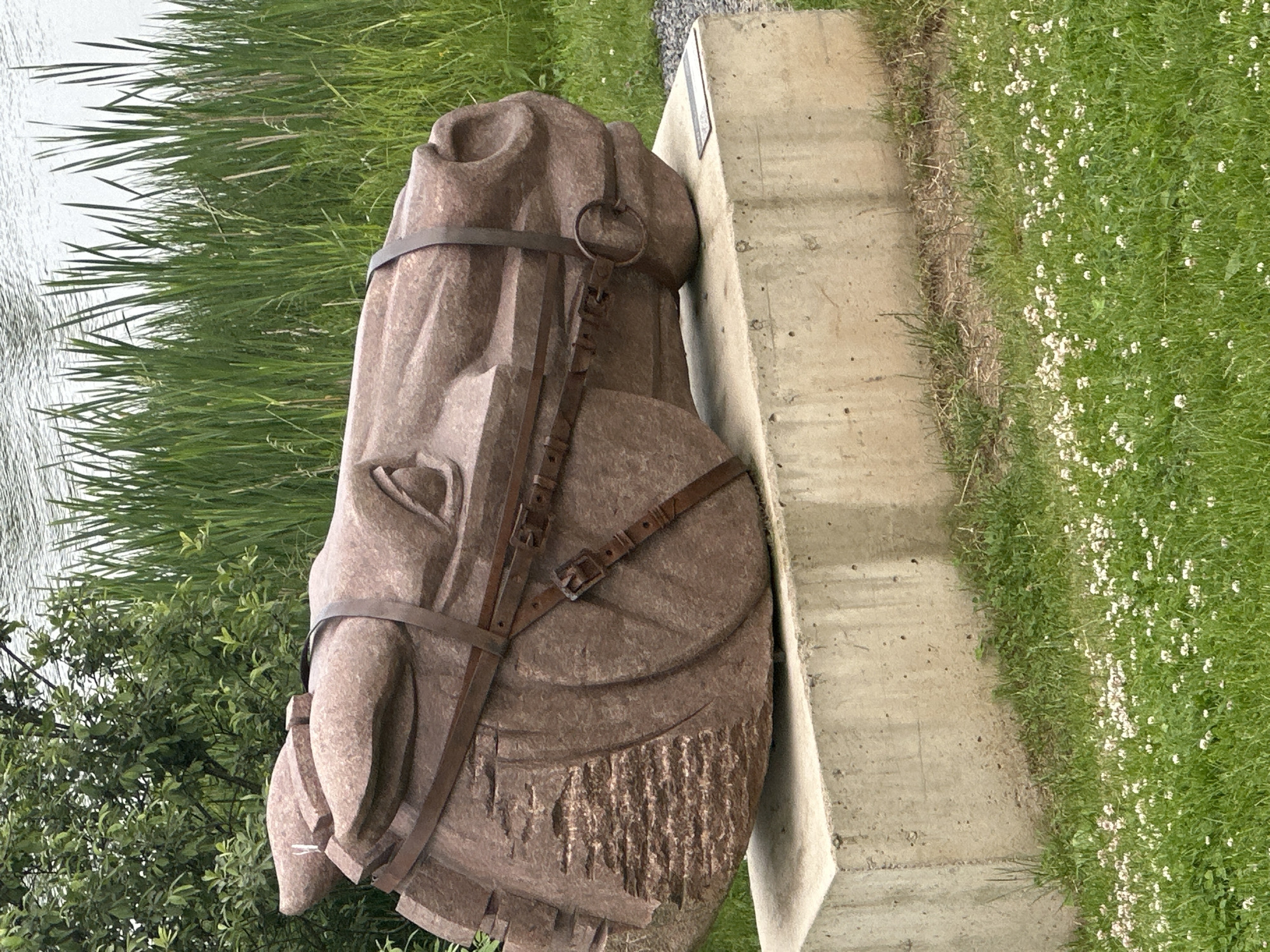 The image displays a large, reddish-brown stone sculpture of a horse's head with leather straps resembling a bridle. The sculpture is positioned on a light-colored concrete pedestal. The background features tall green reeds, lush green trees, and a body of water. The foreground consists of a grassy area dotted with small white wildflowers. There are no people visible in the image. The scene appears to be an outdoor exhibit or park. Based on the information provided, the sculpture is located in the city of Minsk, Belarus.