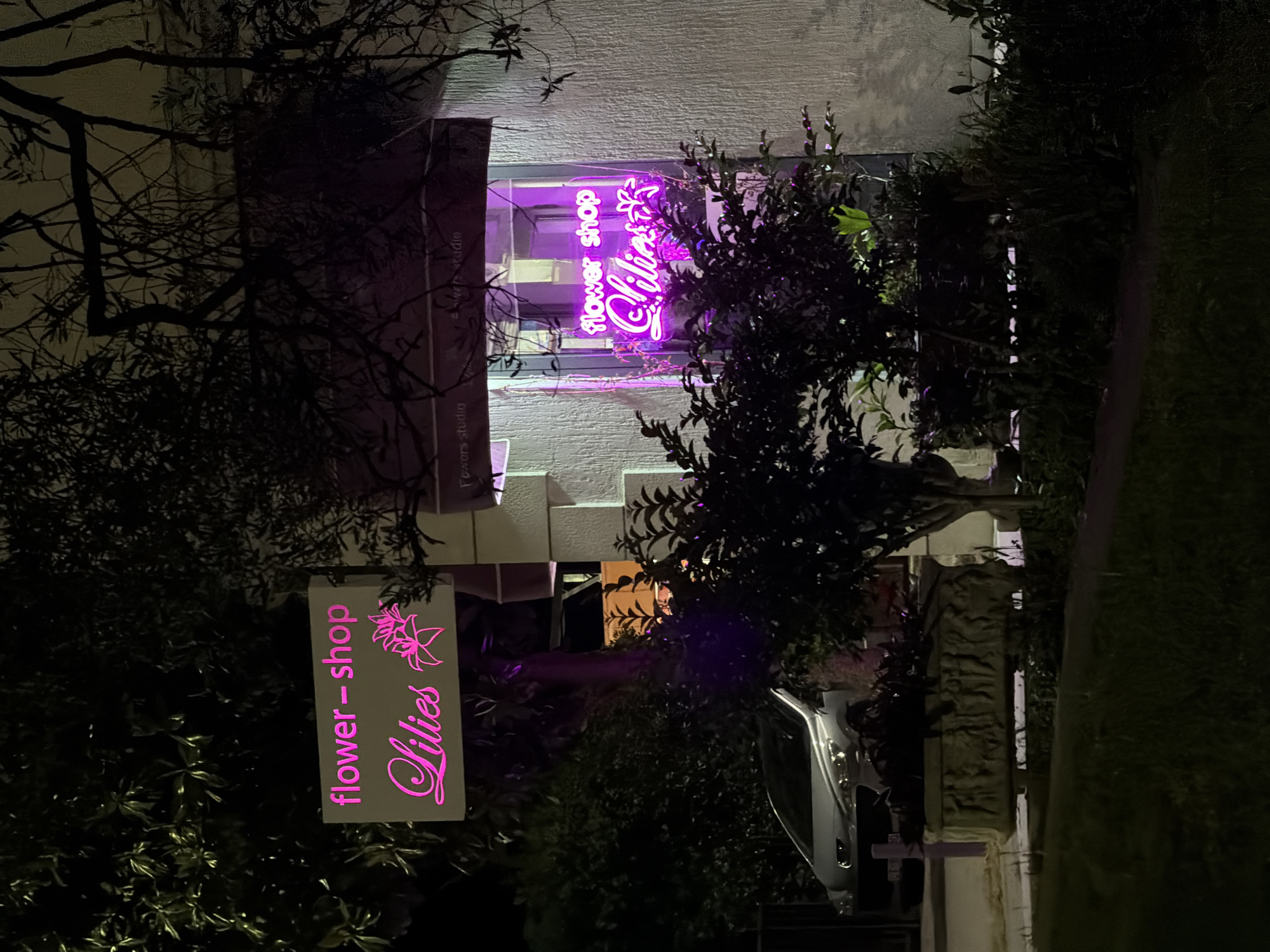 The image shows a flower shop at night. The shop has two signs: one is a vertically oriented white sign that reads "flower-shop Lilies" in pink, and the other is a pink neon sign that reads "flower shop Lilies." The shop appears to be located in Budva, Montenegro. A car is parked in front of the shop, and there is a stone fence. Trees and bushes surround the shop.