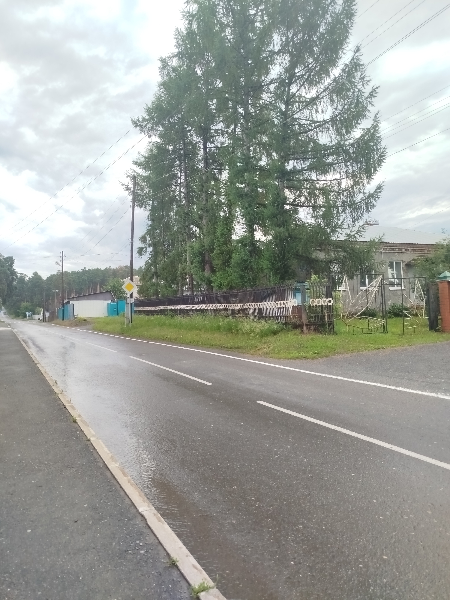 A wet asphalt road runs diagonally from the lower left to the upper right of the frame. The road is wet and reflects the overcast sky. White lane markers are visible on the road. To the left of the road, a concrete curb is visible, with some grass growing along its edge. In the background, a row of tall trees with dark green foliage lines the road. Beyond the trees, several buildings are visible, including a long white building with a blue section, a gray residential building, and a dark metal fence. A yellow diamond-shaped road sign with a black border and a white interior is posted on a pole in the foreground to the left of the road. Power lines are strung between poles in the upper portion of the image. The sky is cloudy and gray, suggesting it may have recently rained or is about to rain. The image appears to be taken in a rural or suburban area, possibly a street in Zavodoukovsk, Russia, given the context provided.