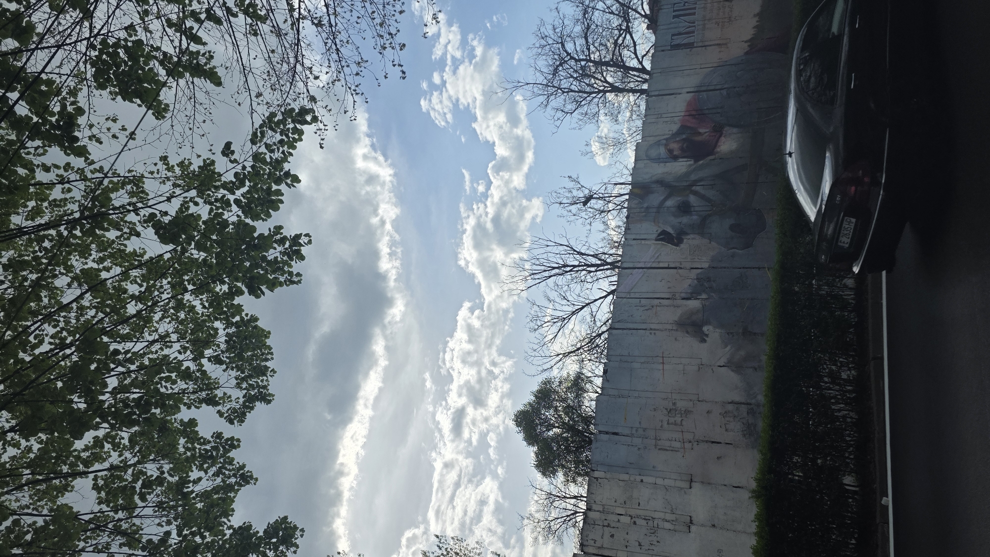 The image displays an outdoor urban scene captured during daytime under a partly cloudy sky. The perspective is directed upwards, presenting a blend of natural and man-made elements.
The upper portion of the frame is dominated by the sky, featuring patches of clear blue interspersed with numerous white, fluffy cumulus clouds and some elongated grey clouds. Sunlight appears to filter through the clouds, creating bright areas.
On the left side, the vibrant green foliage of a tree, likely deciduous, occupies a significant part of the foreground and mid-ground, with its leaves and branches silhouetted against the sky. Towards the center and right, the intricate, bare branches of other trees are visible, stark against the bright sky and a tall wall.
A prominent feature is a large, textured wall extending across the mid-right section of the image. This wall is covered with a detailed mural, which appears to depict a historical or mythological scene. Elements clearly visible in the mural include a human-like figure wearing a red head covering and the head and part of the body of a horse. The mural shows signs of age or wear in several areas.
Running along the base of the muralled wall is a dense, dark green, neatly trimmed hedge. Parked parallel to this hedge and the wall is a dark-colored sedan, likely black or dark blue, with its rear end visible on the far right. The car's license plate, "E 2635 HP," is clearly legible. The letter "E" on the license plate is a regional code for Blagoevgrad, Bulgaria. A dark asphalt road is visible adjacent to the car.
The scene is static, depicting no specific activity or event. The time of day is daylight, and the weather is partly cloudy.
