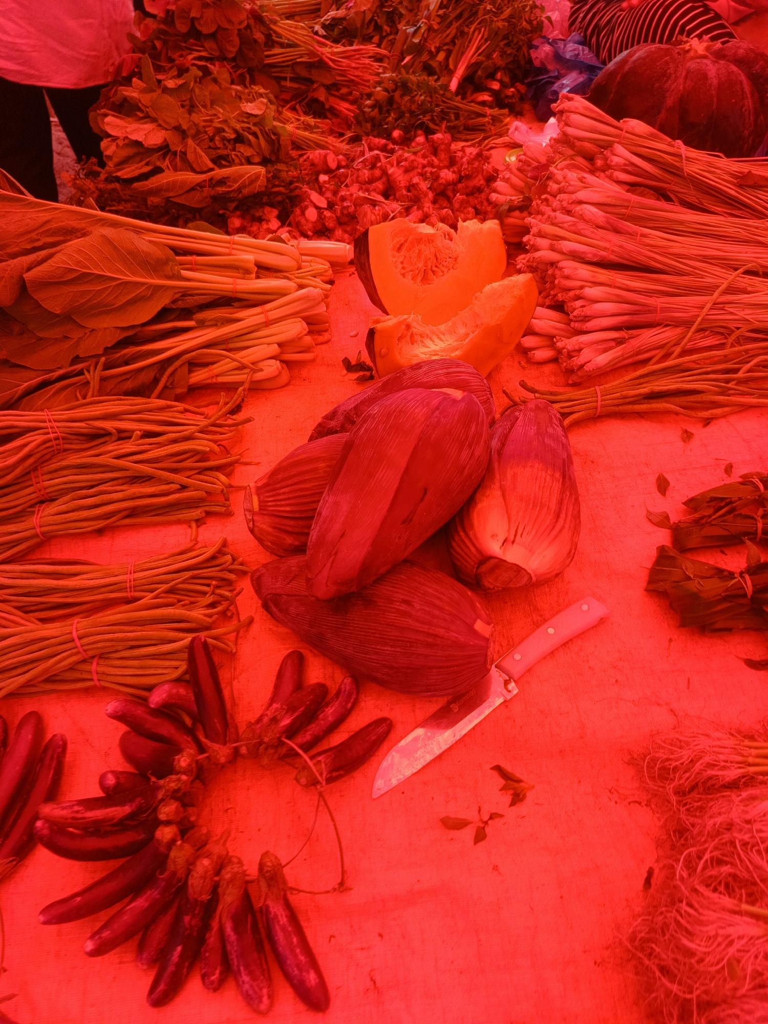 An overhead shot captures a vibrant red scene featuring a market stall laden with fresh produce. Bundles of green vegetables with large leaves are arranged on the left. To the right, stacks of long, thin green stalks are neatly tied with red bands. In the center, banana blossoms are displayed, and a slice of pumpkin sits nearby. A knife with a pink handle rests on the surface. Further to the right, more bundles of similar green stalks are visible. In the lower left, a ring of small, dark-colored vegetables, possibly baby eggplants or chilies, is arranged. The overall impression is of a bustling marketplace in Gorontalo, Indonesia, showcasing the region's fresh agricultural offerings.