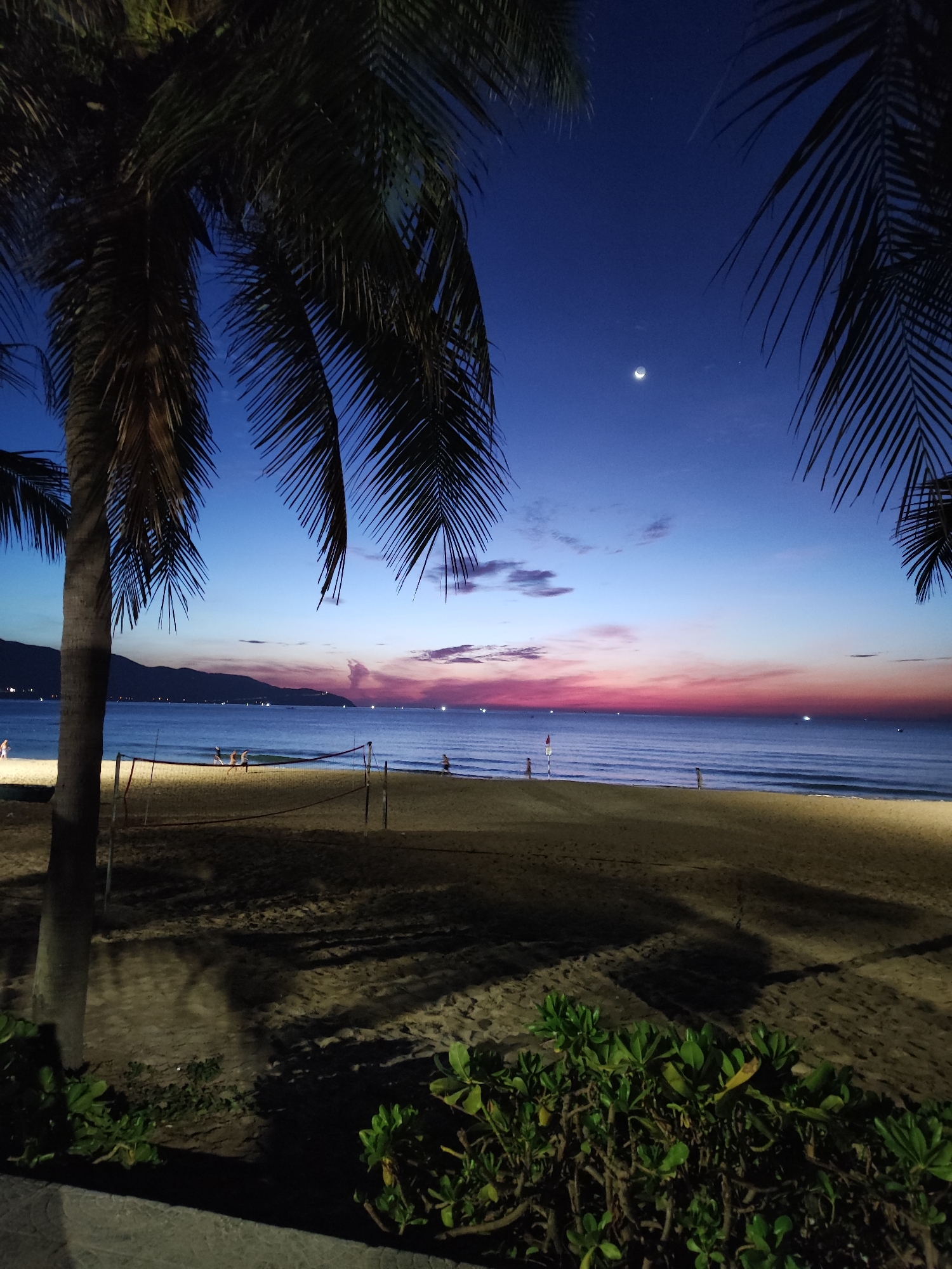 This is a nighttime photograph taken on a beach in Da Nang, Vietnam. In the foreground, palm trees frame the scene, their fronds silhouetted against the twilight sky. The sand of the beach is visible, with shadows cast from the palm trees and possibly from lighting not directly in view. Two volleyball nets are set up on the beach. In the middle ground, the calm sea stretches out to the horizon, where a distant mountain range is faintly visible. The sky transitions from a deep blue directly overhead to shades of pink, orange, and purple near the horizon, indicating the end of sunset or the beginning of sunrise. A crescent moon is visible in the upper right quadrant of the sky. Several individuals are present on the beach and in the shallow water, some appearing to be playing volleyball. The lighting suggests it is after dusk, with artificial lights illuminating parts of the beach.