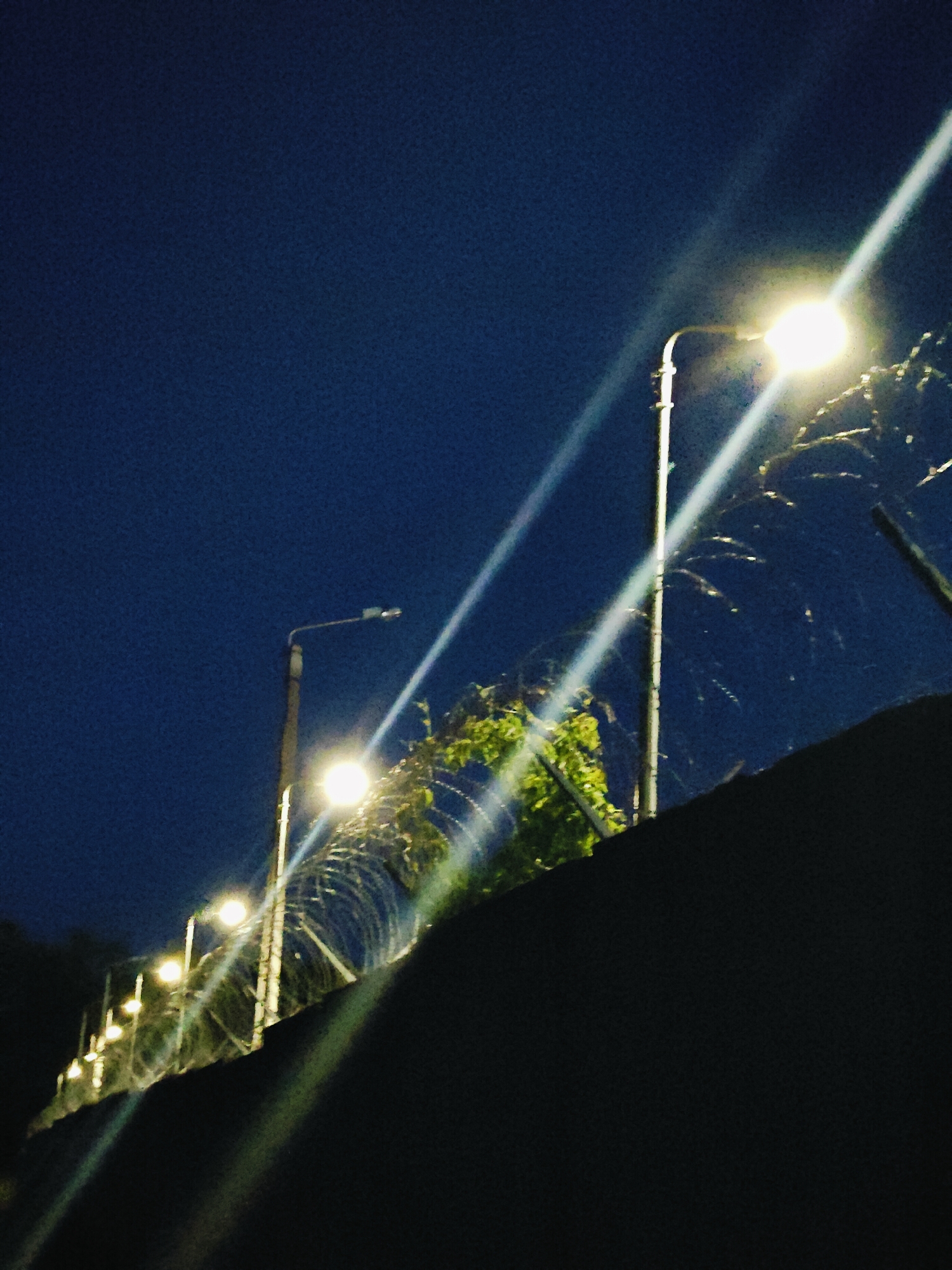The image captures a nighttime scene with multiple streetlights illuminating a dark blue sky. A dark, irregular object, likely a wall or embankment, runs across the foreground. Behind this, a series of streetlights on poles line a fence, which appears to be topped with barbed wire or a similar barrier. Green foliage is visible behind the fence, suggesting the presence of trees or bushes. The lighting creates strong lens flares and streaks across the image. The location of Chaikovsky, Russia, is not visually discernible from the image itself, and no people or specific actions are depicted.