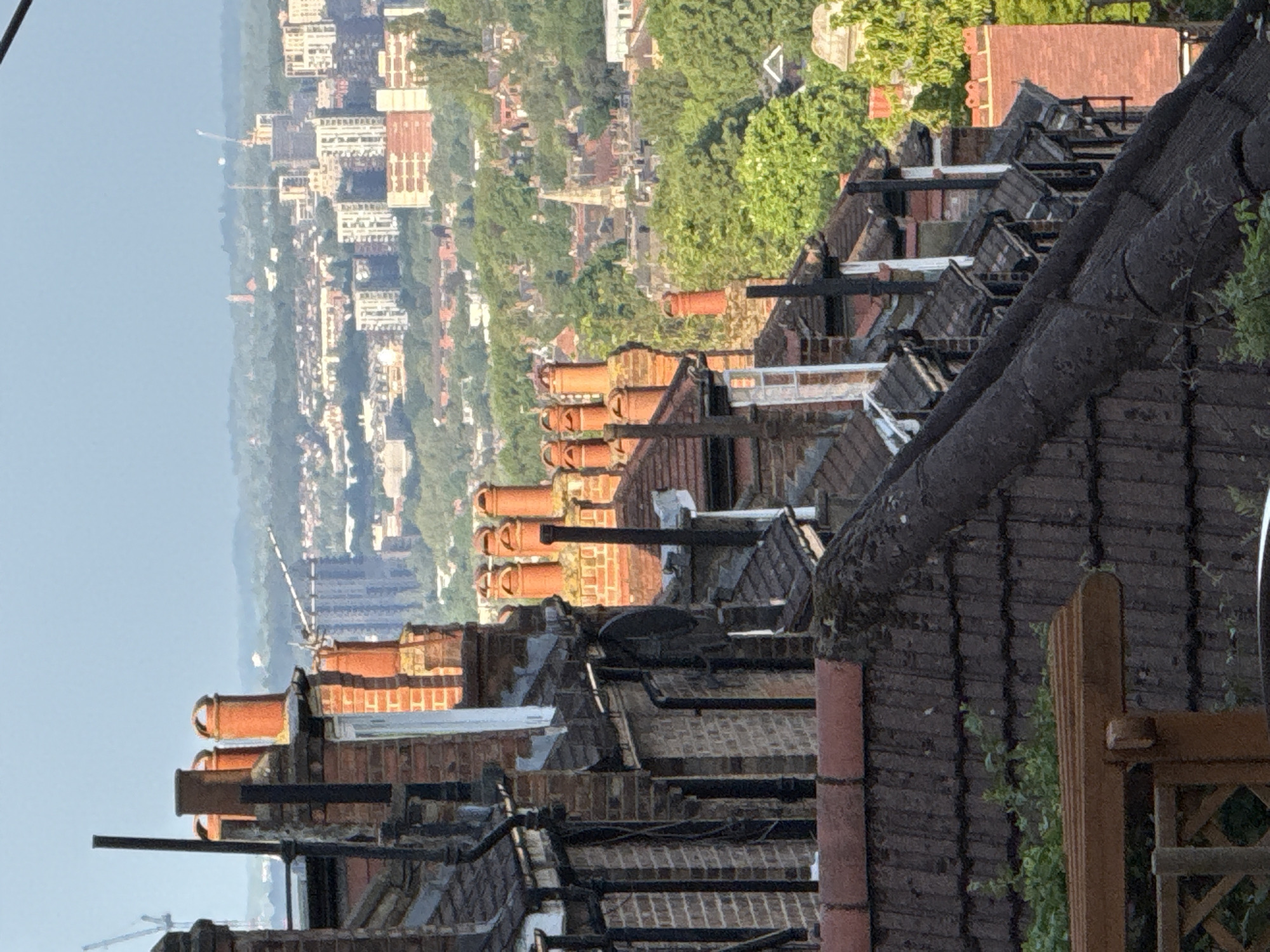 The photograph presents a southward-oriented vista from an elevated position across rooftops towards a city skyline in London, United Kingdom. The foreground is dominated by terraced houses with prominent brick chimneys and dark-tiled roofs. Several metal antennas and cabling are visible. Beyond the rooftops, a band of green foliage suggests parkland or gardens. Further still, the distant city skyline consists of buildings of varying heights and architectural styles. A light haze obscures the detail of the skyline. A tall construction crane is visible.