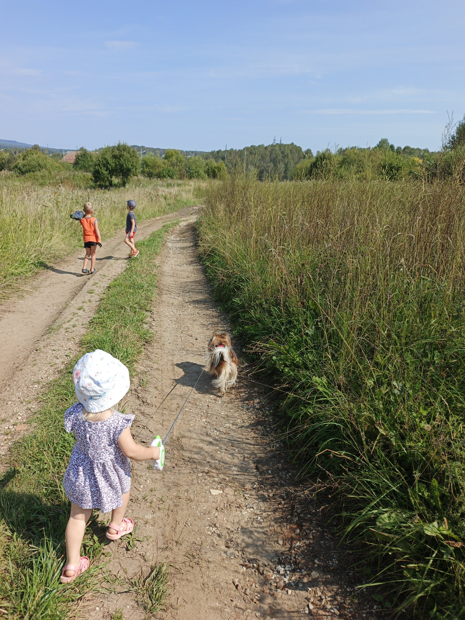 A rear-view, medium shot captures a young girl in a white hat and a purple floral dress walking along a dirt path, holding a retractable leash attached to a small, fluffy dog. The dog, with brown and white fur, is walking ahead of her on the path. In the distance, two young boys are visible on the same path, one in an orange shirt and black shorts, and the other in a grey shirt and red shorts. They are facing away from the viewer, towards a landscape of tall green and brown grass, scattered trees, and a clear blue sky. The location is identified as Medvedyovka, Russia, with the scene suggesting an outdoor, rural setting.