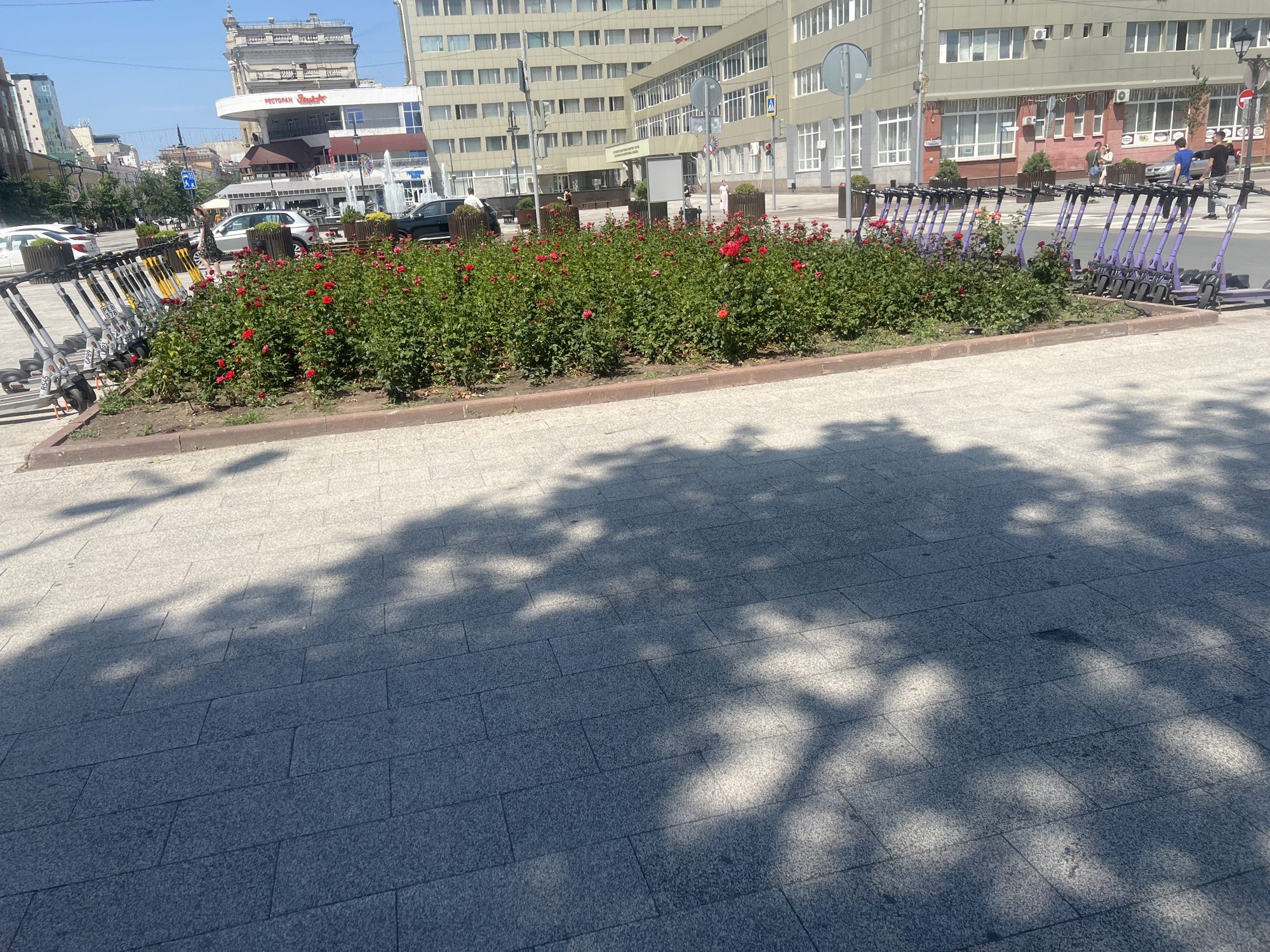 In an urban setting, a row of rental electric scooters is parked in front of a raised flower bed filled with red roses. The flower bed is bordered by a concrete curb and is situated on a paved plaza. Behind the flower bed, a multi-story building with a modern facade is visible, featuring numerous windows. Several people are walking in the background, and cars are present on the street. The scene is illuminated by sunlight, casting shadows from trees onto the paved plaza.