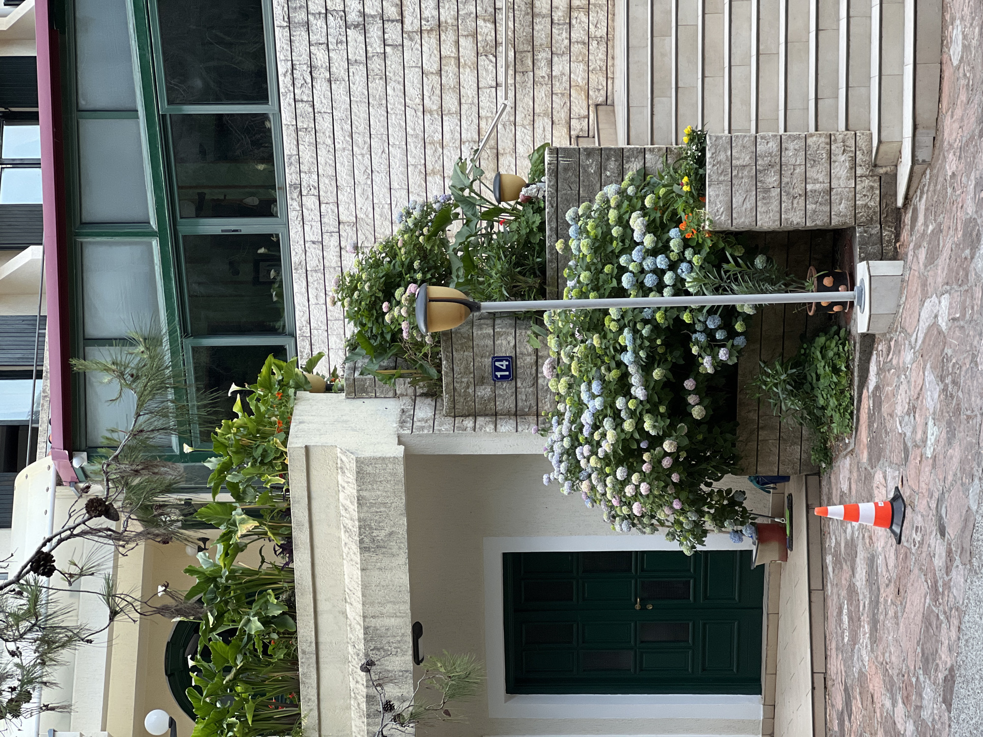 The image captures a building facade in Petrovac na Moru, Montenegro. A green door is central, framed by white trim and flanked by flourishing greenery. Hydrangeas in various shades of blue, pink, and white cascade from above, along with other lush plants. A street lamp stands nearby. The building's exterior features gray stone and a set of stairs. An orange traffic cone sits on the stone-paved ground adjacent to the entrance. A sign with the number "14" is affixed to a wall. The upper part of the building shows a window structure with green frames.