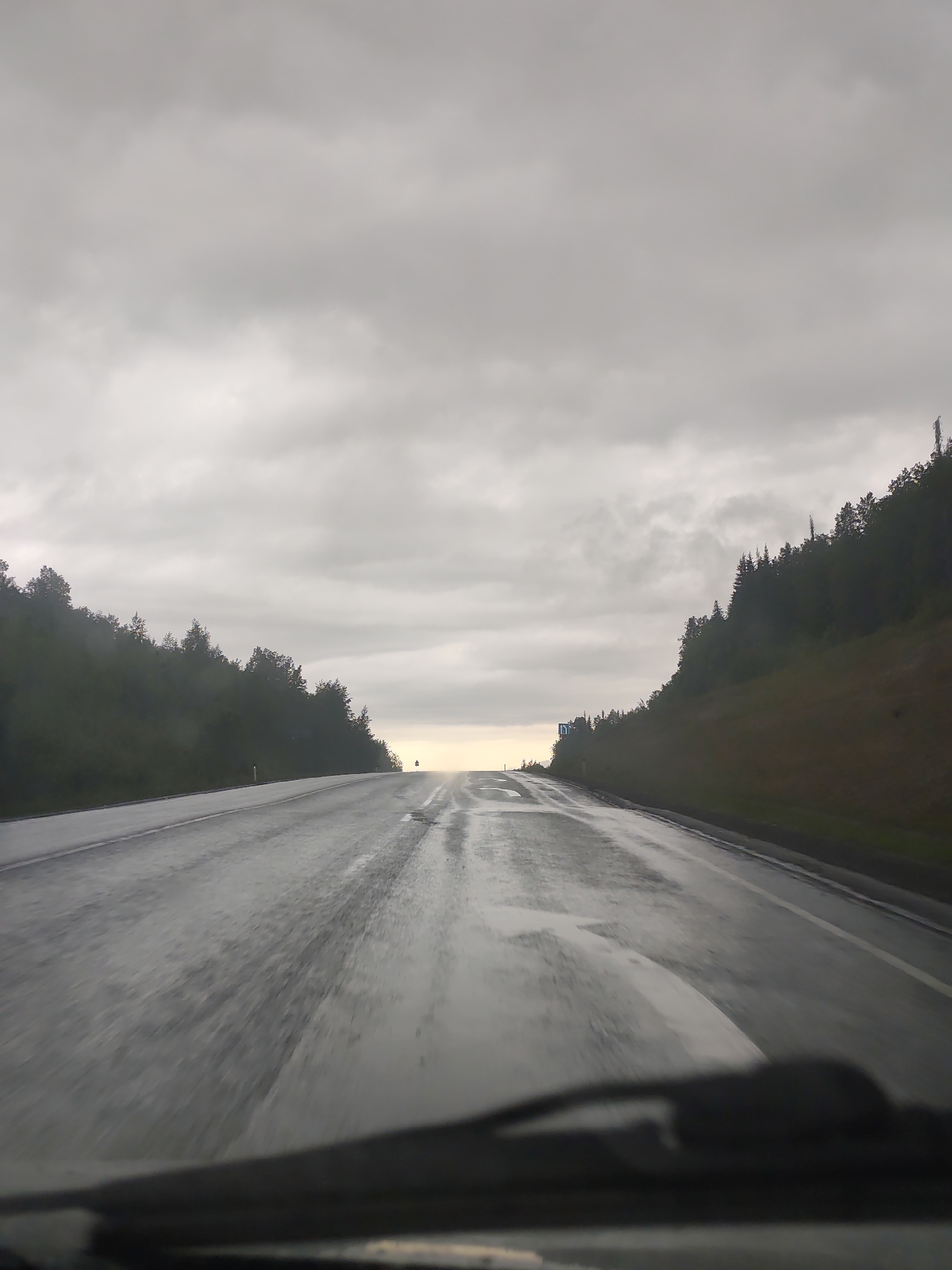 Captured from inside a vehicle, the image depicts a wet, asphalt road winding through a forested area. The weather is overcast with a grey sky overhead. The road appears to be elevated, curving upward and disappearing into the horizon. The edges of the road are flanked by dense trees and vegetation. The lower portion of the image shows a vehicle windshield with wipers. The location is indicated to be the city of Vetlyany, Russia.