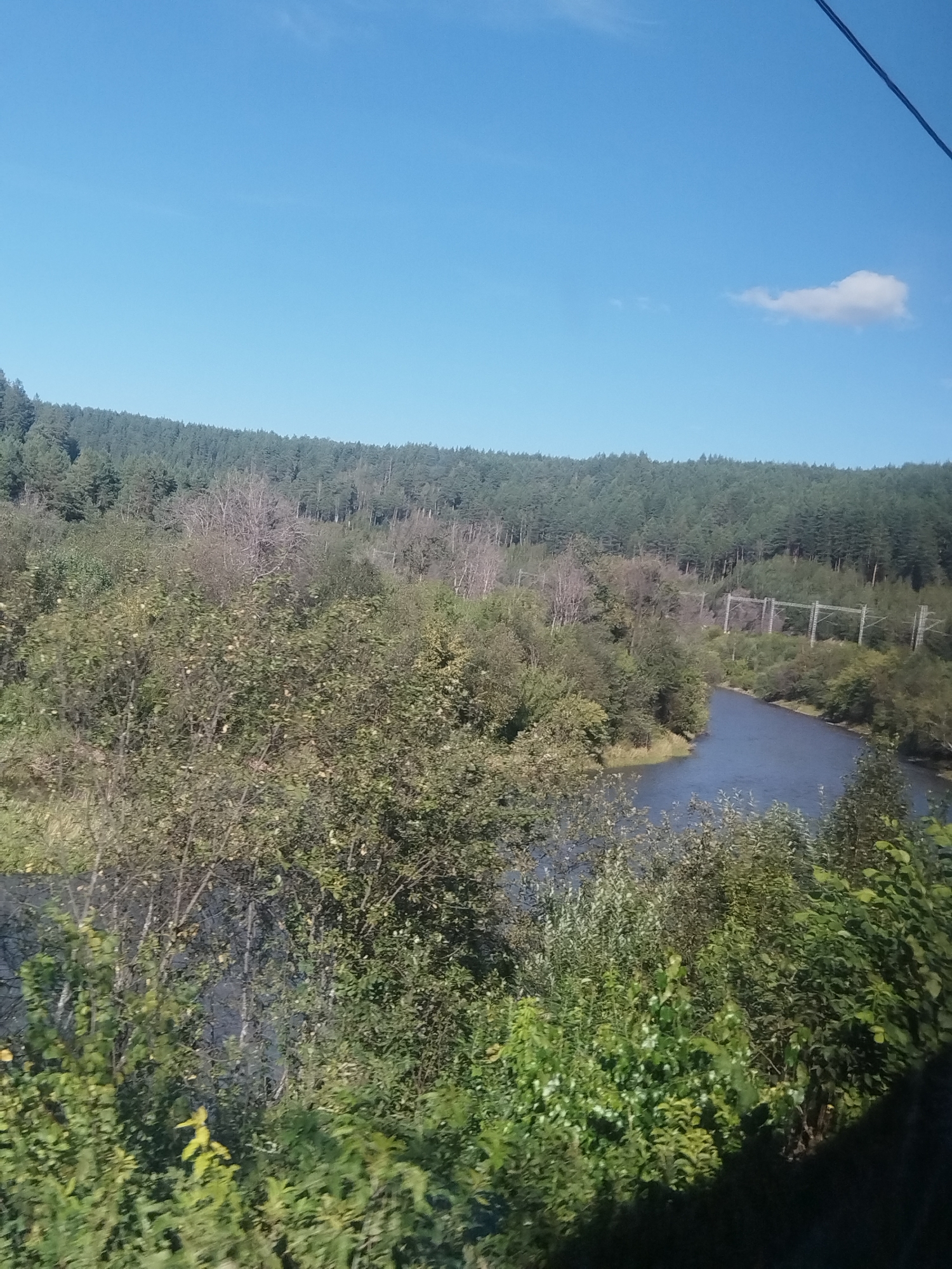 The image shows a natural landscape with a river flowing through it, flanked by dense forests and vegetation. The sky is clear blue with a single small cloud. In the background, there is a line of tall evergreen trees forming a treeline. Closer to the river, there are deciduous trees and bushes. There are also power lines visible in the distance, supported by metal towers. The river itself appears calm and reflects the blue sky and surrounding greenery. The foreground is filled with lush green foliage, suggesting a rural or wilderness setting. The location is identified as Vyazovaya, Russia, a place known for its natural beauty and forested areas.