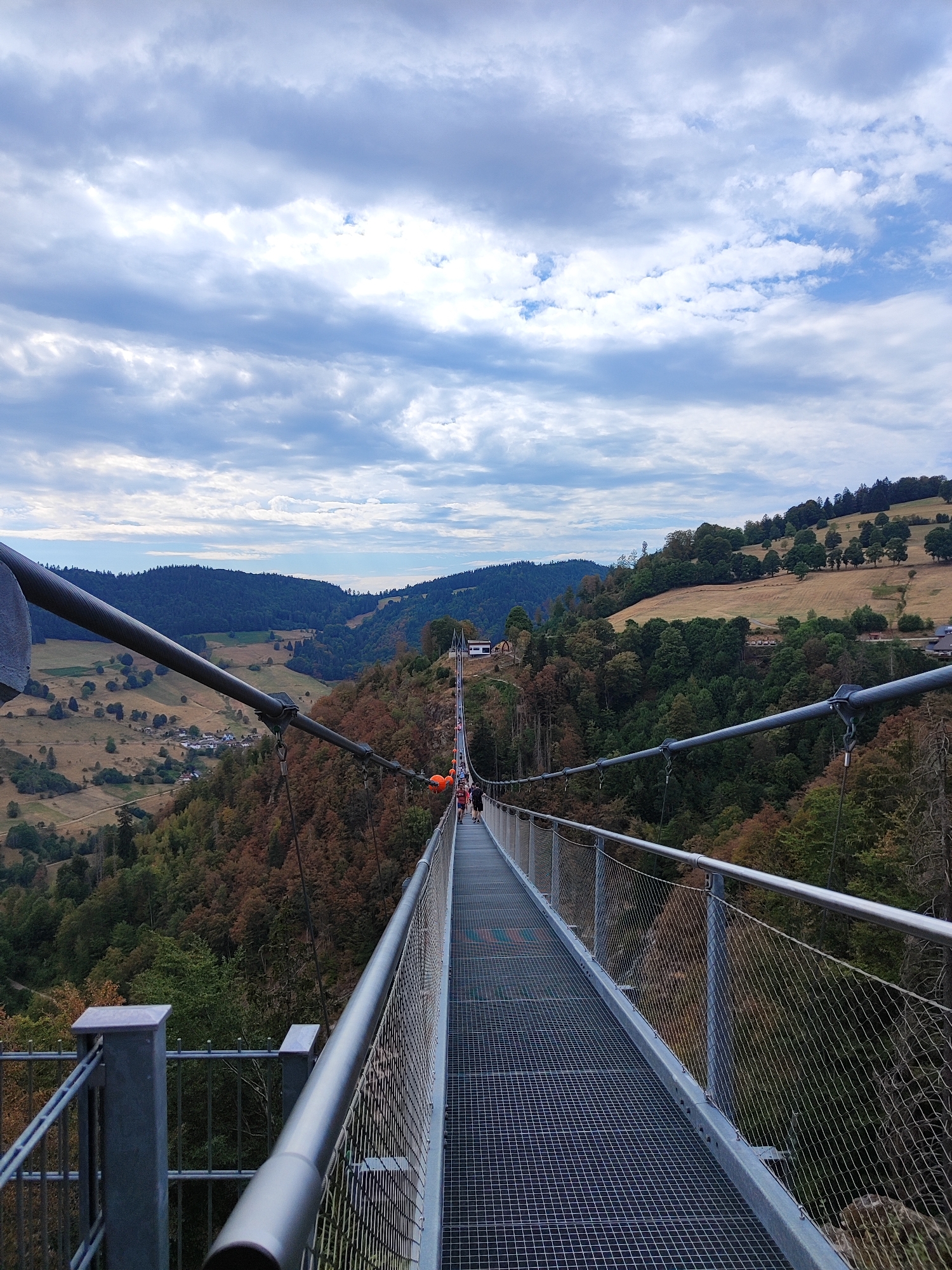 This is a photograph of a suspension bridge in Todtnau, Germany. The bridge is made of metal and has a grid-like walkway. There are people walking on the bridge in the distance. The bridge spans a valley with a forest on one side and rolling hills on the other. The sky is cloudy. The image appears to be taken from the perspective of someone standing on the bridge, looking towards the end of the bridge and the valley beyond. The railing and cables of the bridge are prominent in the foreground.