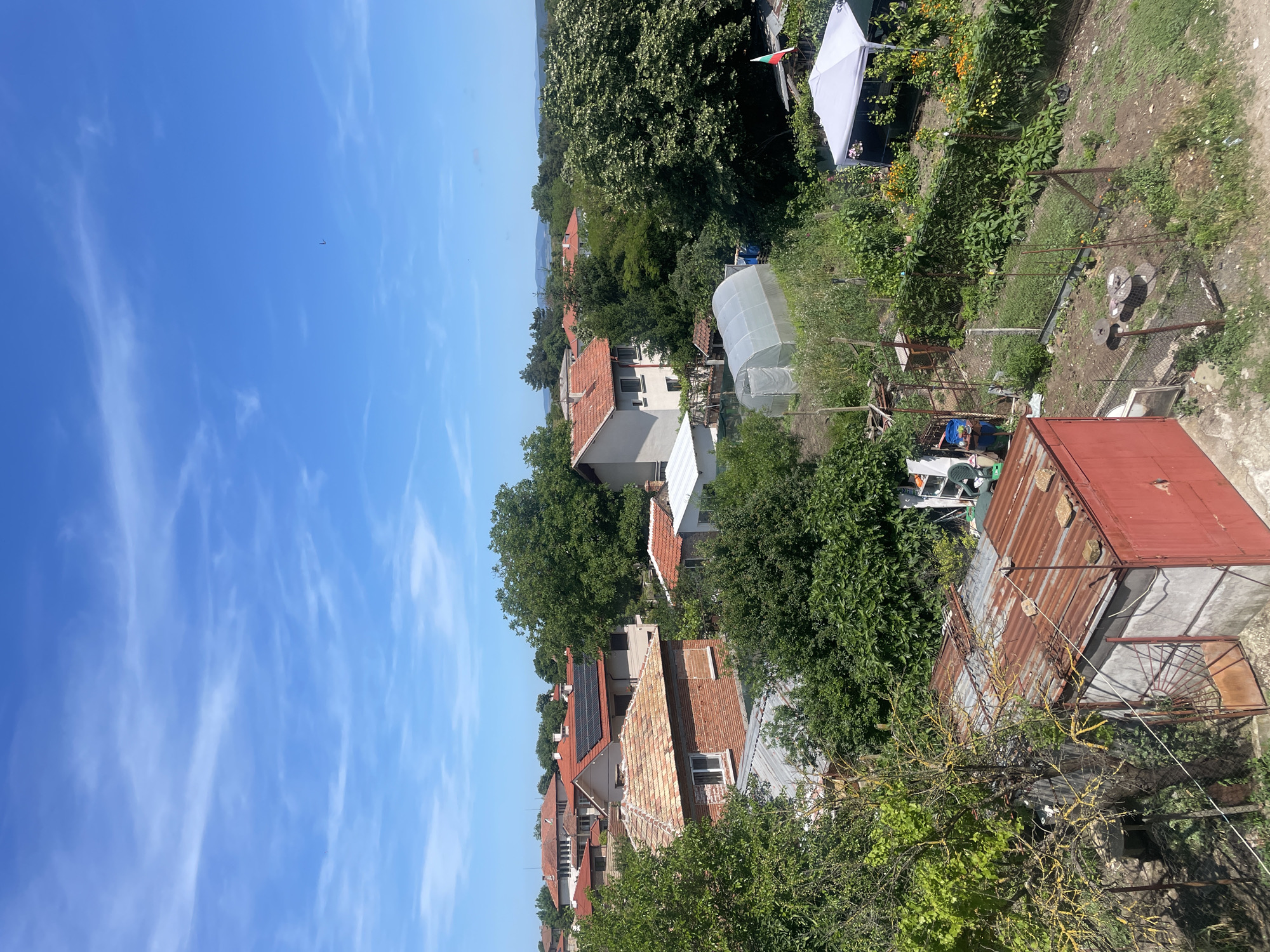 This is a vertical, eye-level, outdoor shot of a residential area in Debelt, Bulgaria, under a bright, blue sky with wispy clouds. The scene is dominated by rooftops, lush green trees, and vegetation. Several houses with terracotta tiled roofs are visible, interspersed with dense foliage. One house has solar panels installed on its roof. In the background, a greenhouse structure is partially obscured by trees. A white canopy or tent is set up in a garden area, adorned with flowers and a Bulgarian flag. The sun is high, suggesting midday. The overall atmosphere is one of a tranquil, rural summer day. There is no visible text.
