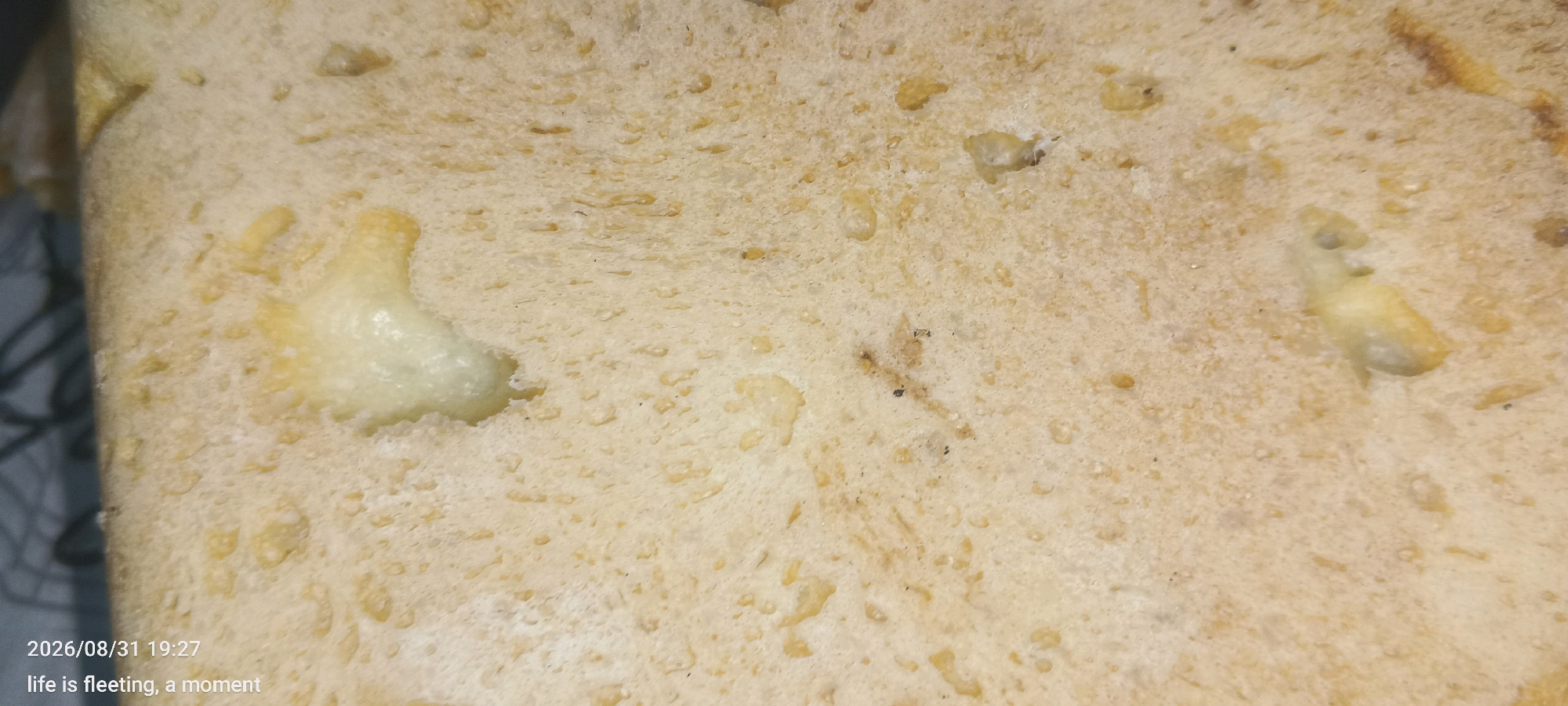 The image shows a close-up of the surface of a slice of bread. The bread appears to be light brown in color with a slightly porous texture. There are small, irregular-shaped darker brown spots scattered across the surface, possibly indicating toasted areas or grain fragments. In some areas, there are also lighter, almost translucent patches, which could be melted butter or fat. The texture of the bread is somewhat uneven, with small air bubbles visible. The lighting in the image is somewhat dim and artificial, casting soft shadows. There is no indication of a city or specific location in the image, nor are there any people or specific actions depicted. The bottom left corner of the image contains a timestamp and a caption that reads "2026/08/31 19:27 life is fleeting, a moment".